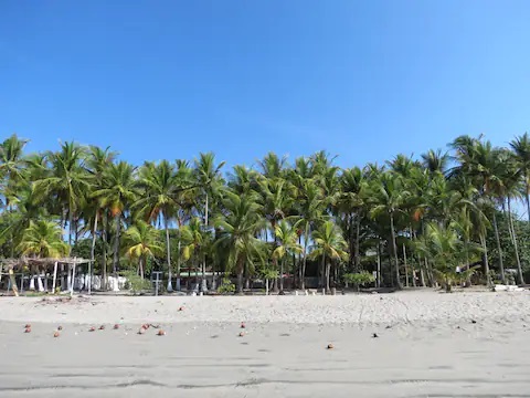 4 bed Single Family Homes For Sale in Samara, Guanacaste - thumb 22