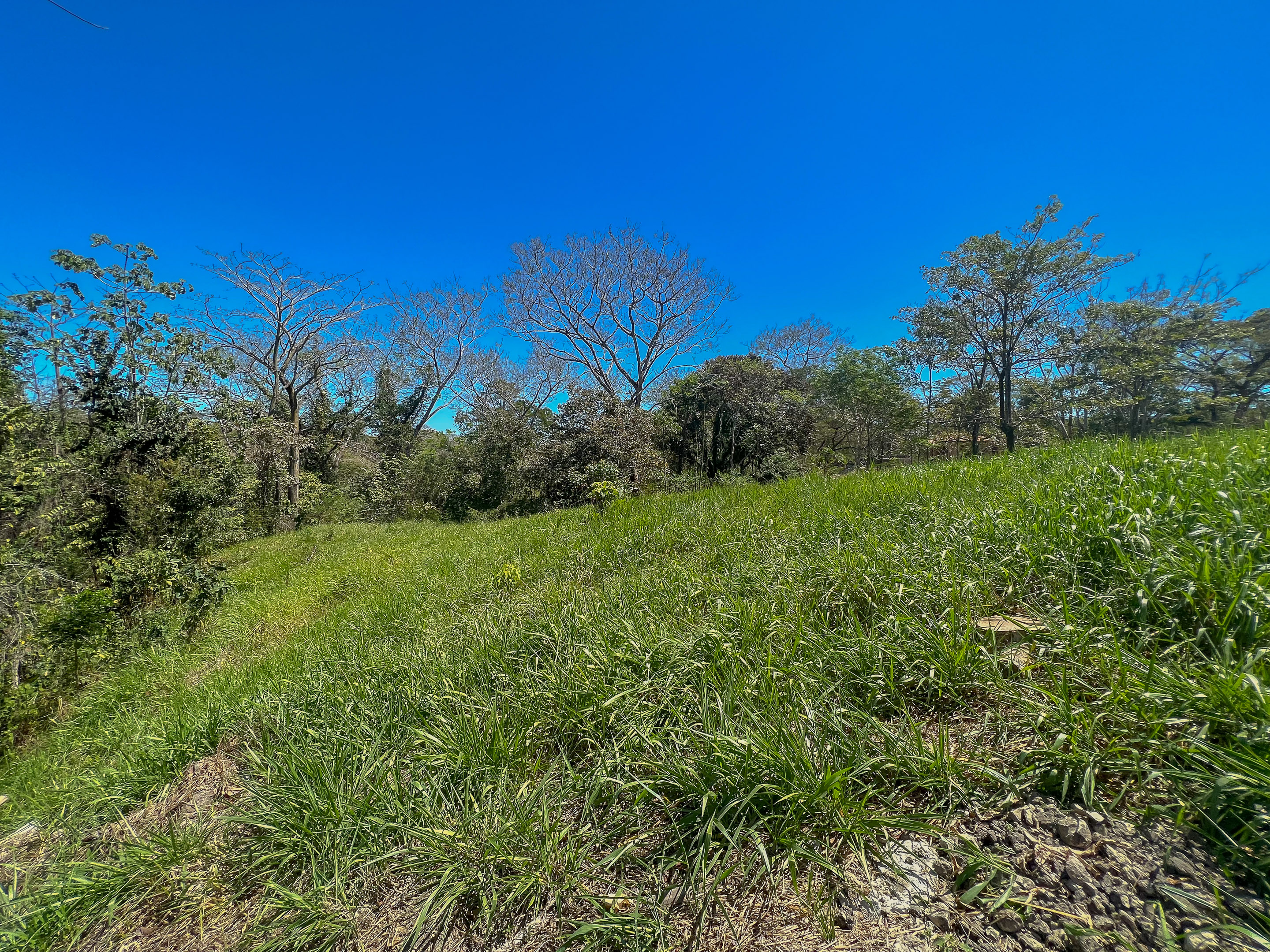 0 bed Land For Sale in Santiago, Puntarenas - thumb 11