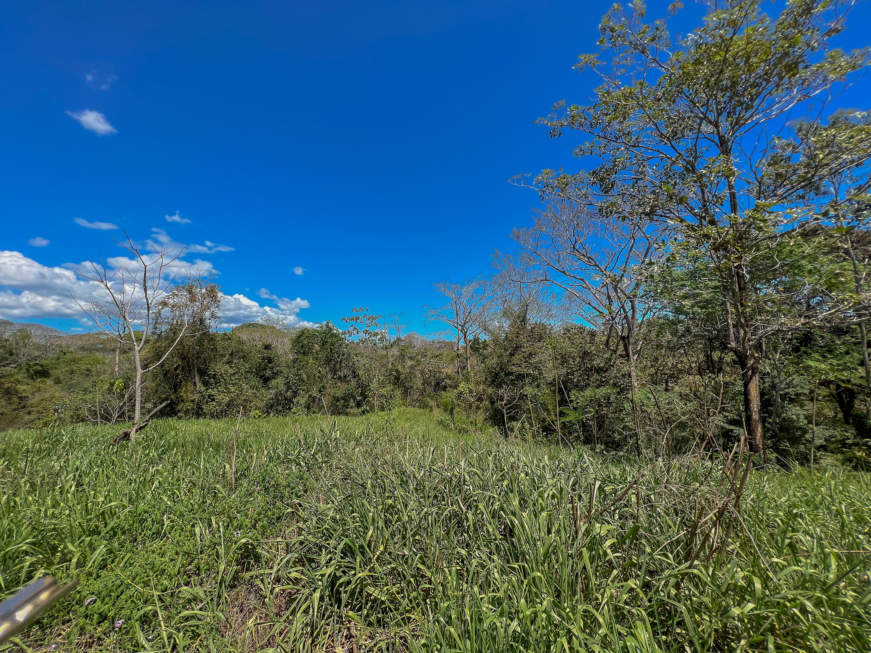 0 bed Land For Sale in Santiago, Puntarenas - thumb 6