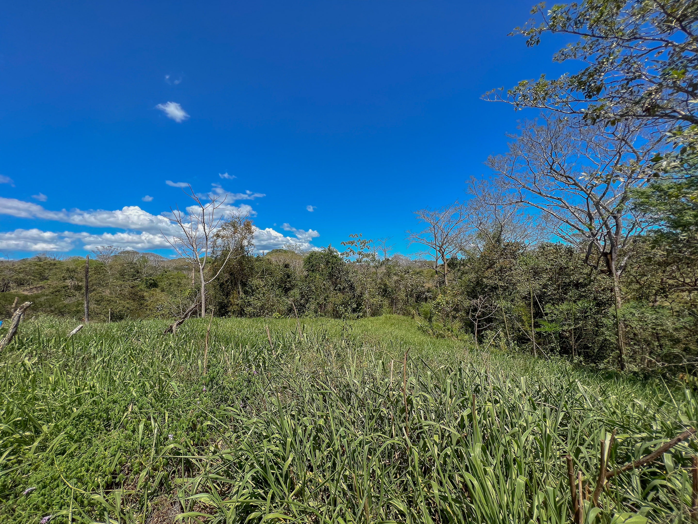 0 bed Land For Sale in Santiago, Puntarenas - thumb 9