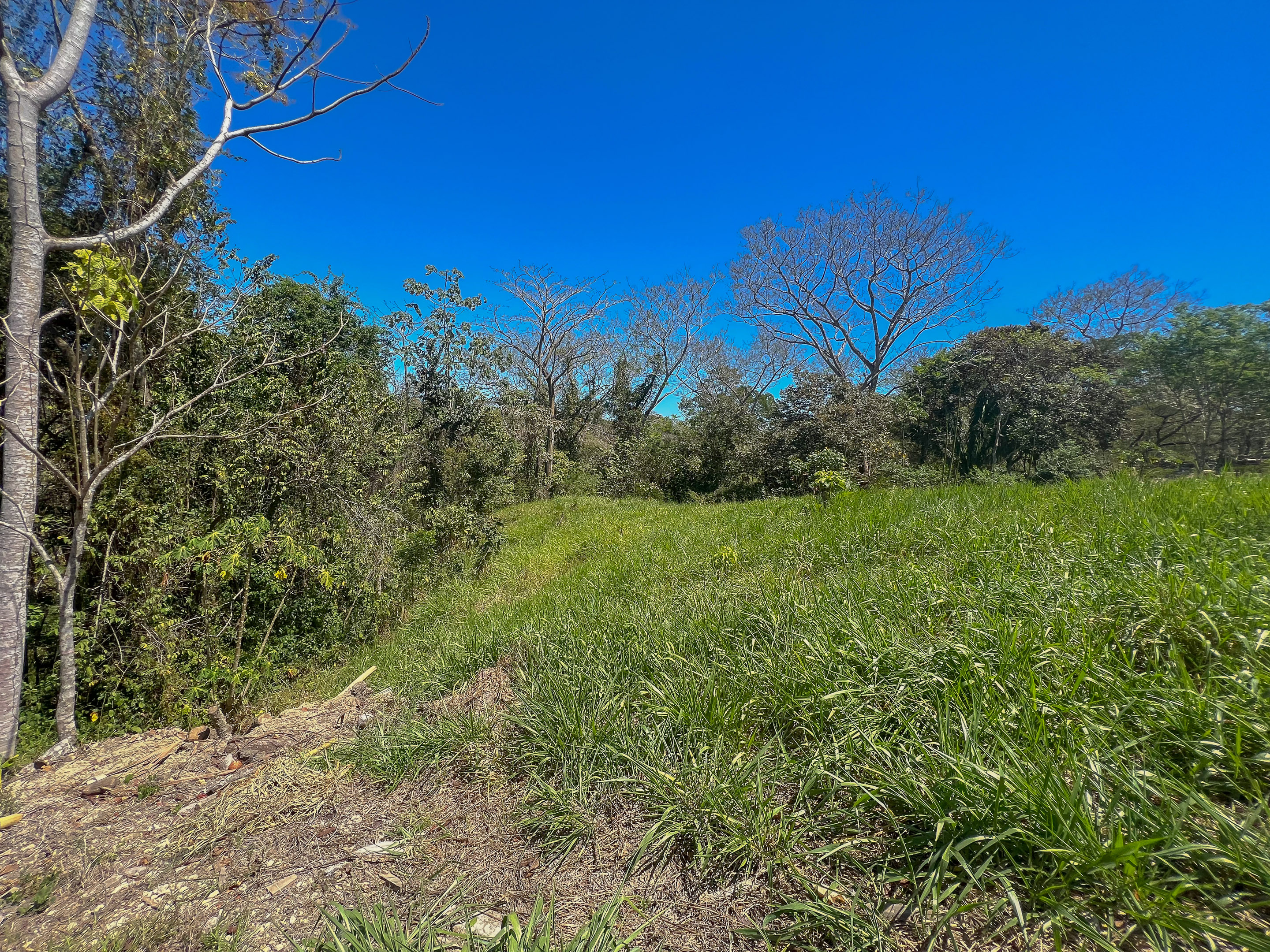 0 bed Land For Sale in Santiago, Puntarenas - thumb 4