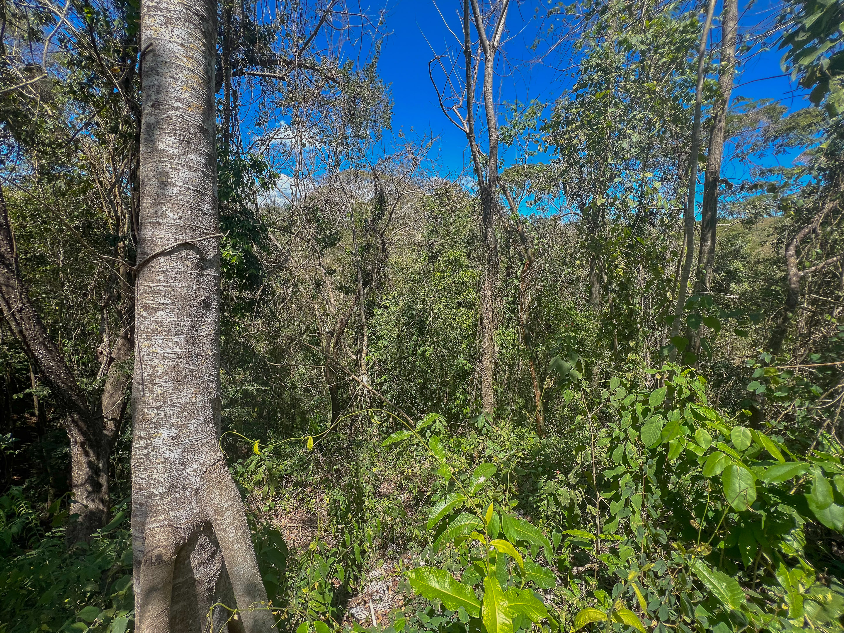 0 bed Land For Sale in Santiago, Puntarenas - thumb 8