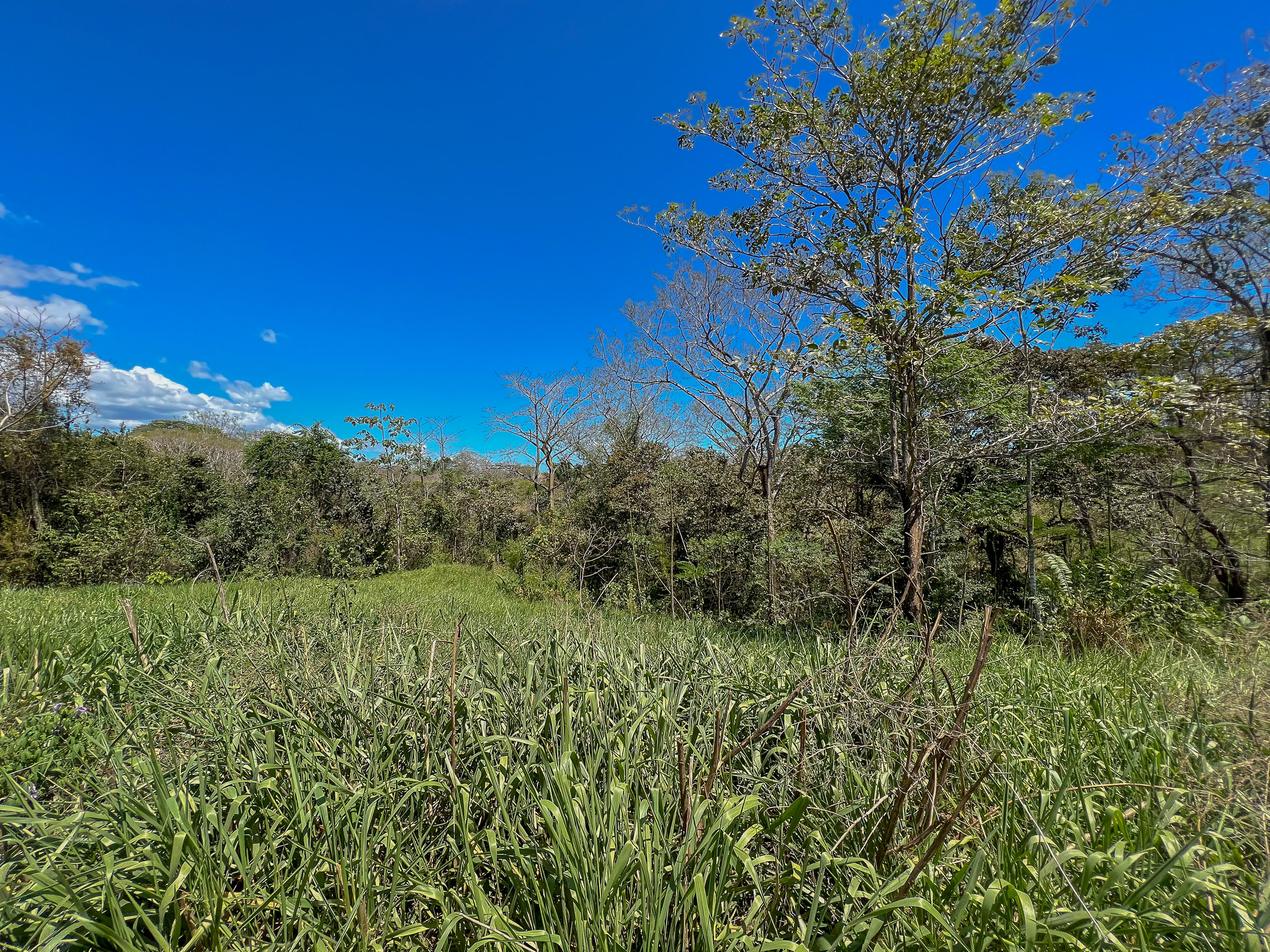 0 bed Land For Sale in Santiago, Puntarenas - thumb 5