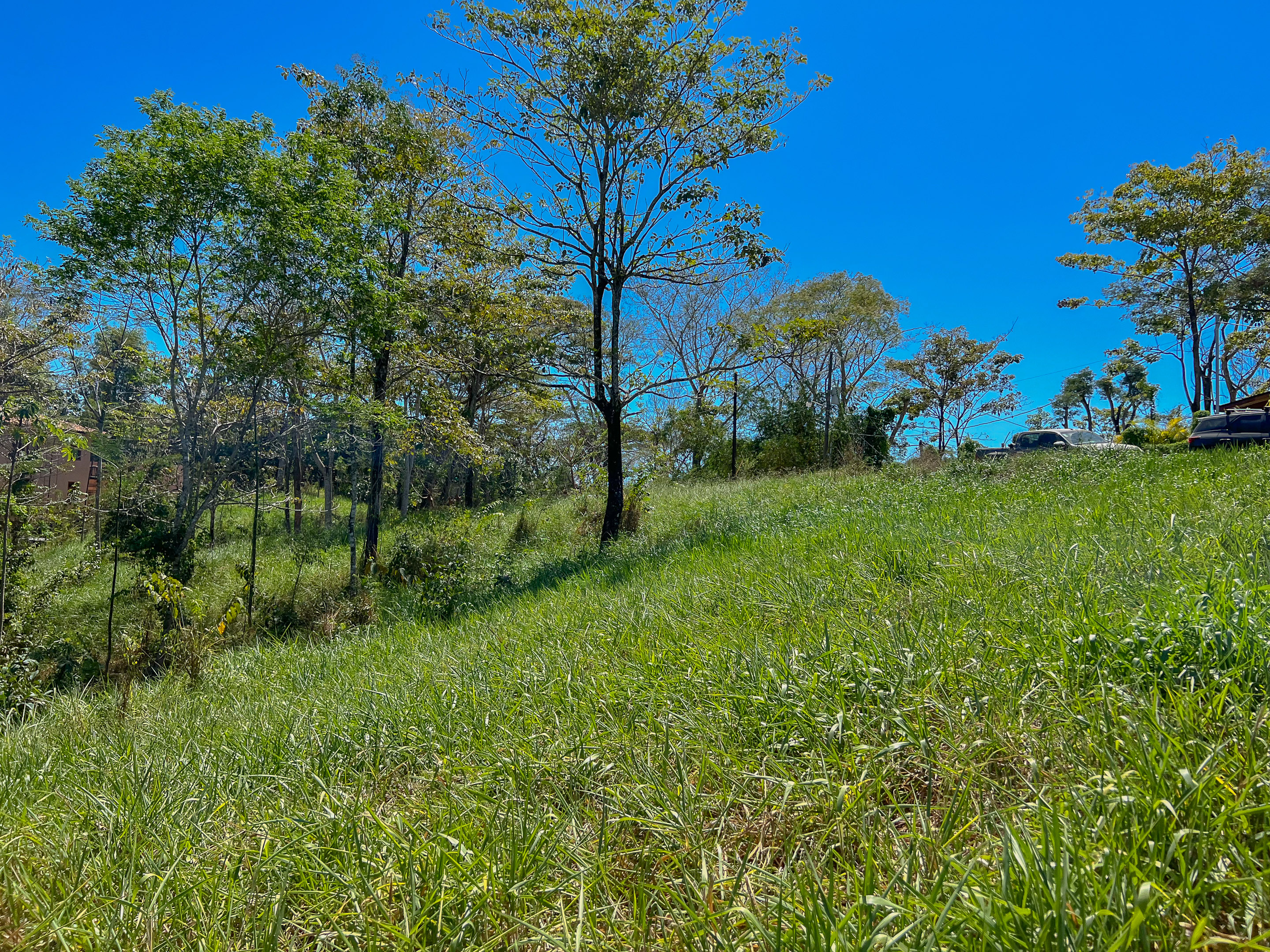 0 bed Land For Sale in Santiago, Puntarenas - thumb 3