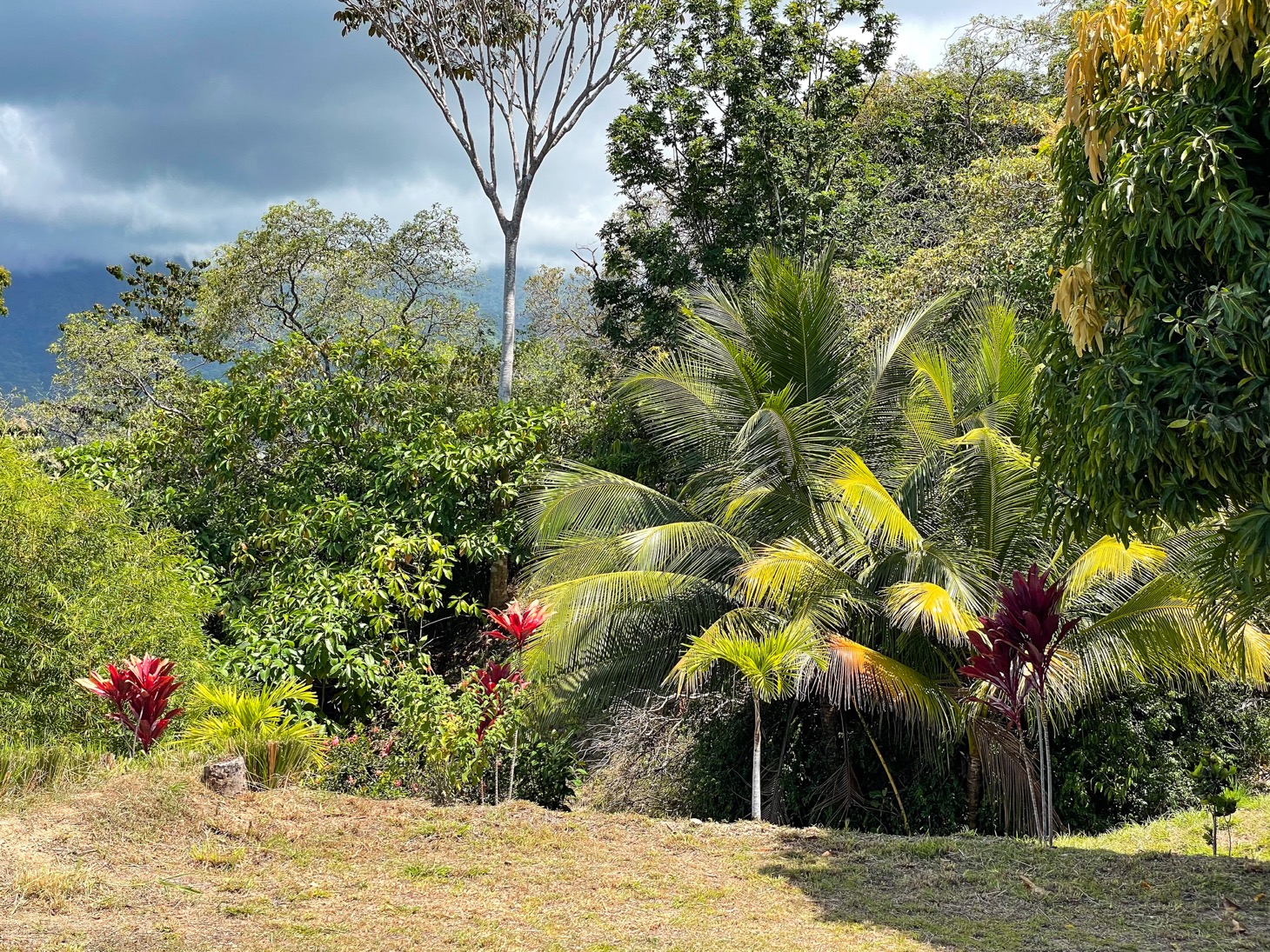 0 bed Land For Sale in Ojochal, Puntarenas - thumb 18