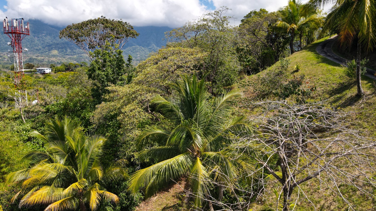 0 bed Land For Sale in Ojochal, Puntarenas - thumb 21