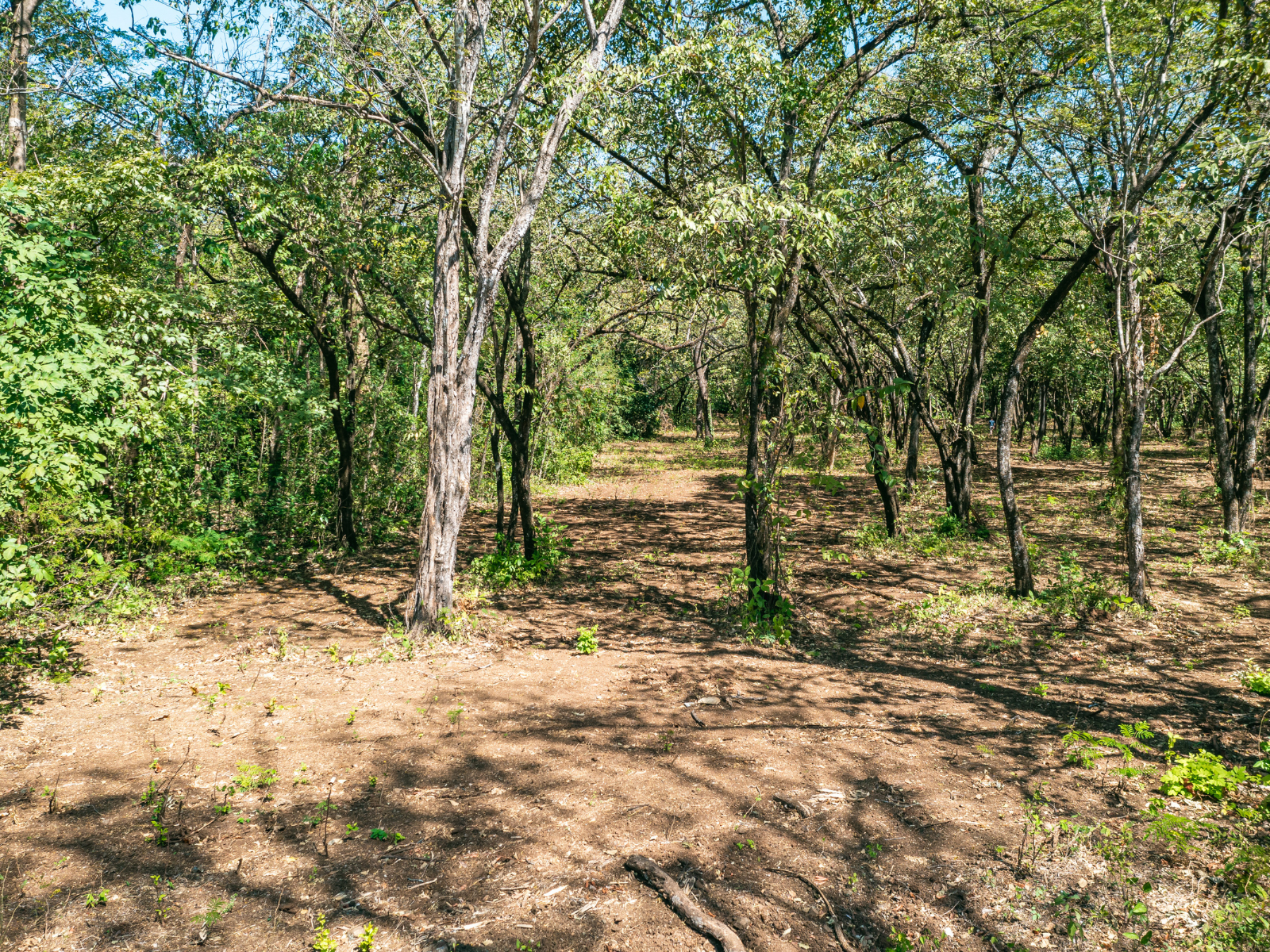 0 bed Land For Sale in Playa Negra, Guanacaste - thumb 22