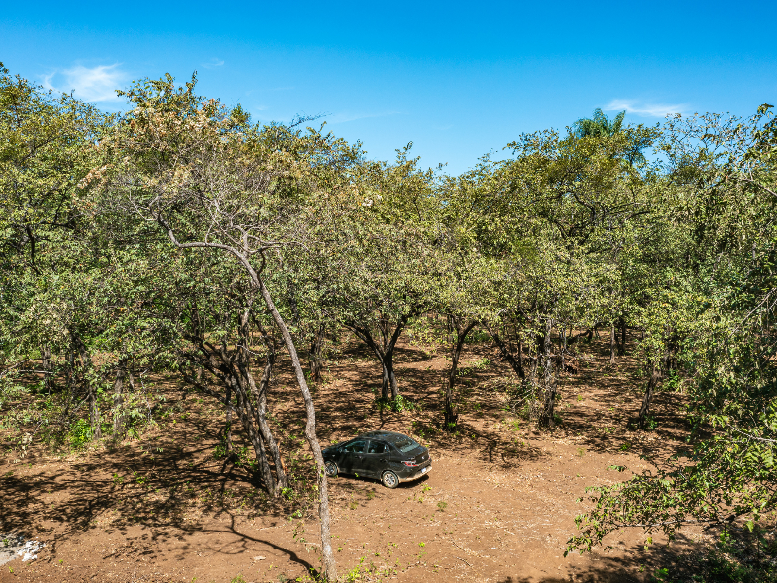 0 bed Land For Sale in Playa Negra, Guanacaste - thumb 20