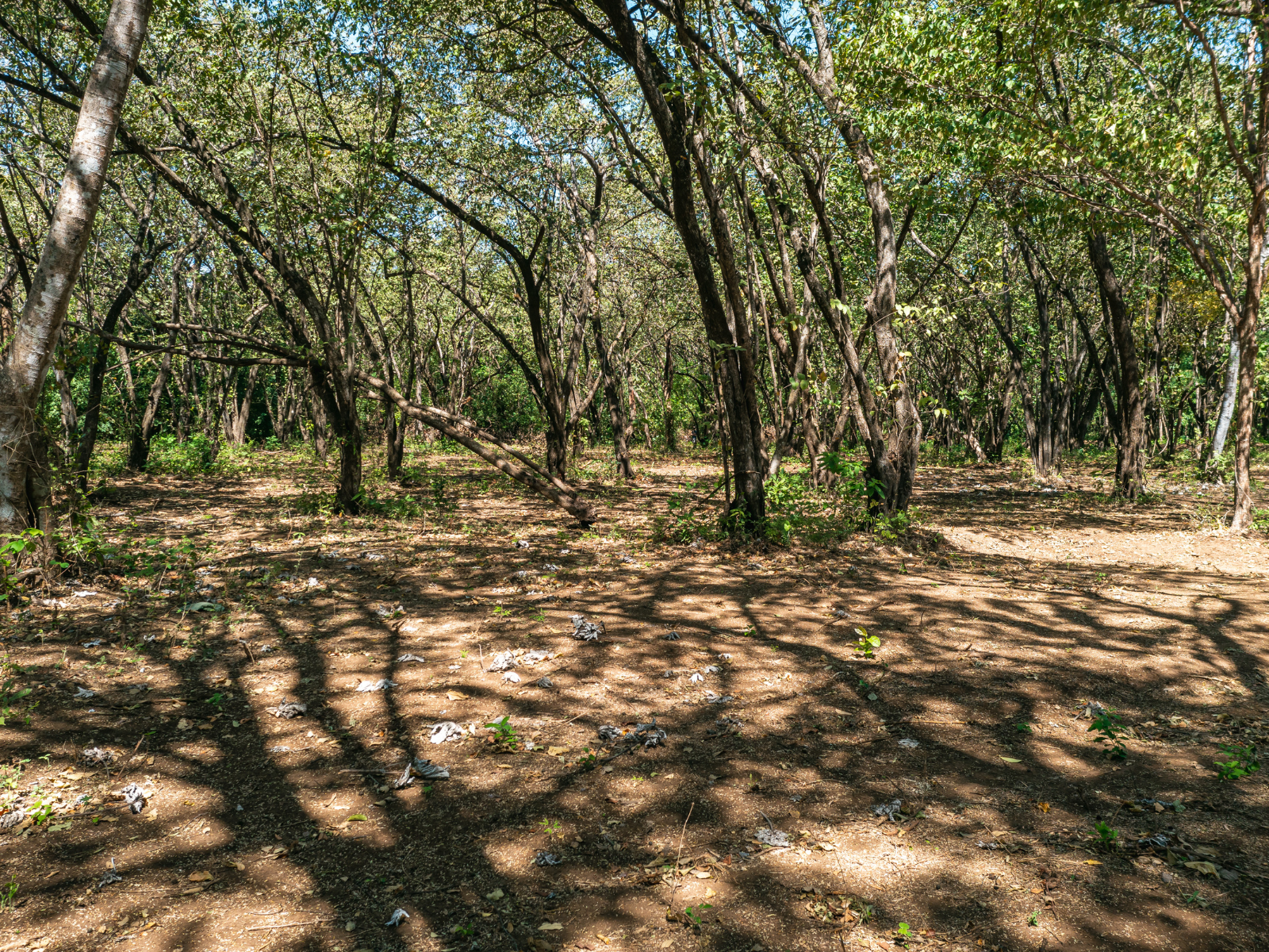 0 bed Land For Sale in Playa Negra, Guanacaste - thumb 6