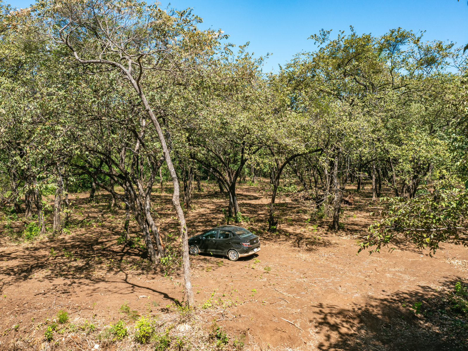 0 bed Land For Sale in Playa Negra, Guanacaste - thumb 19