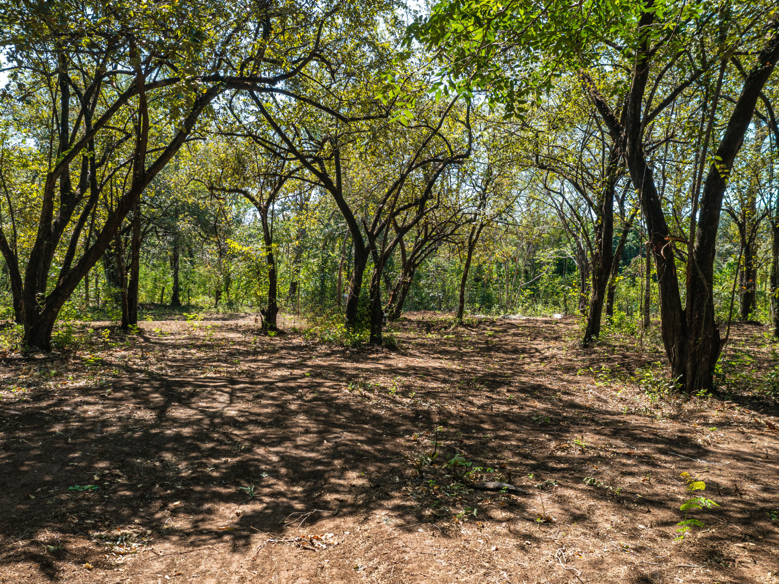 0 bed Land For Sale in Playa Negra, Guanacaste - thumb 3