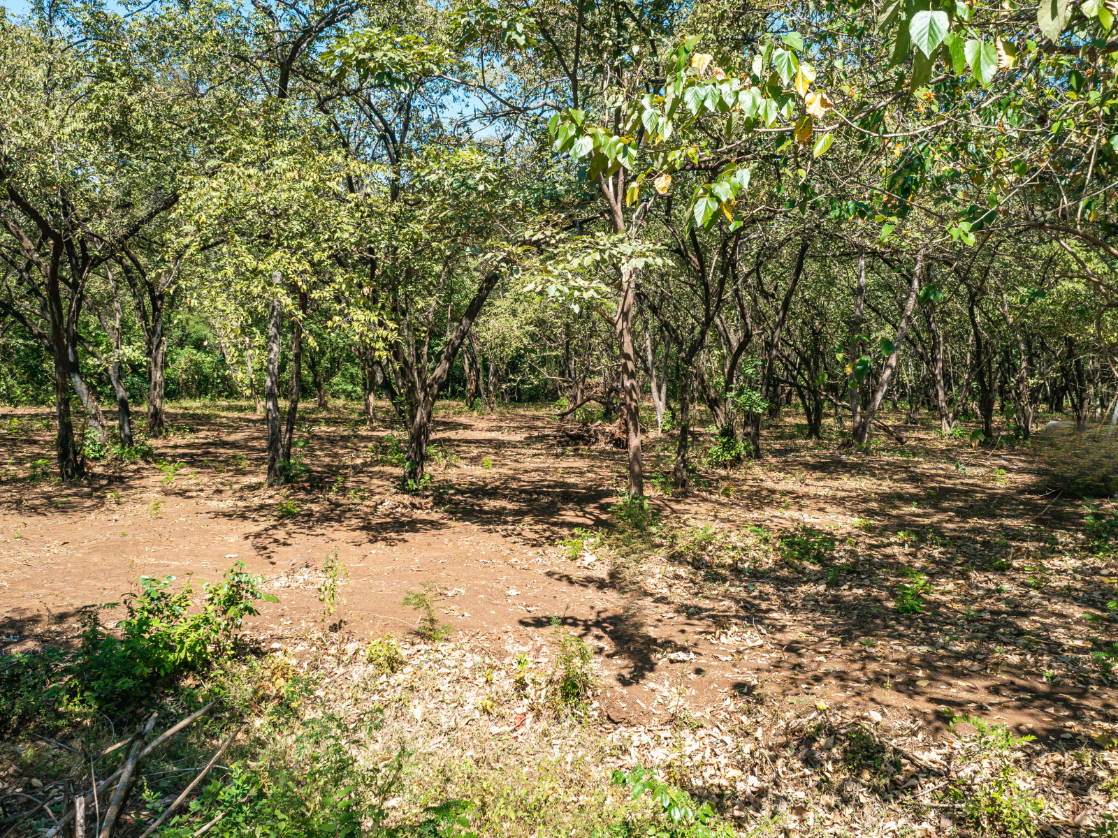 0 bed Land For Sale in Playa Negra, Guanacaste - thumb 21