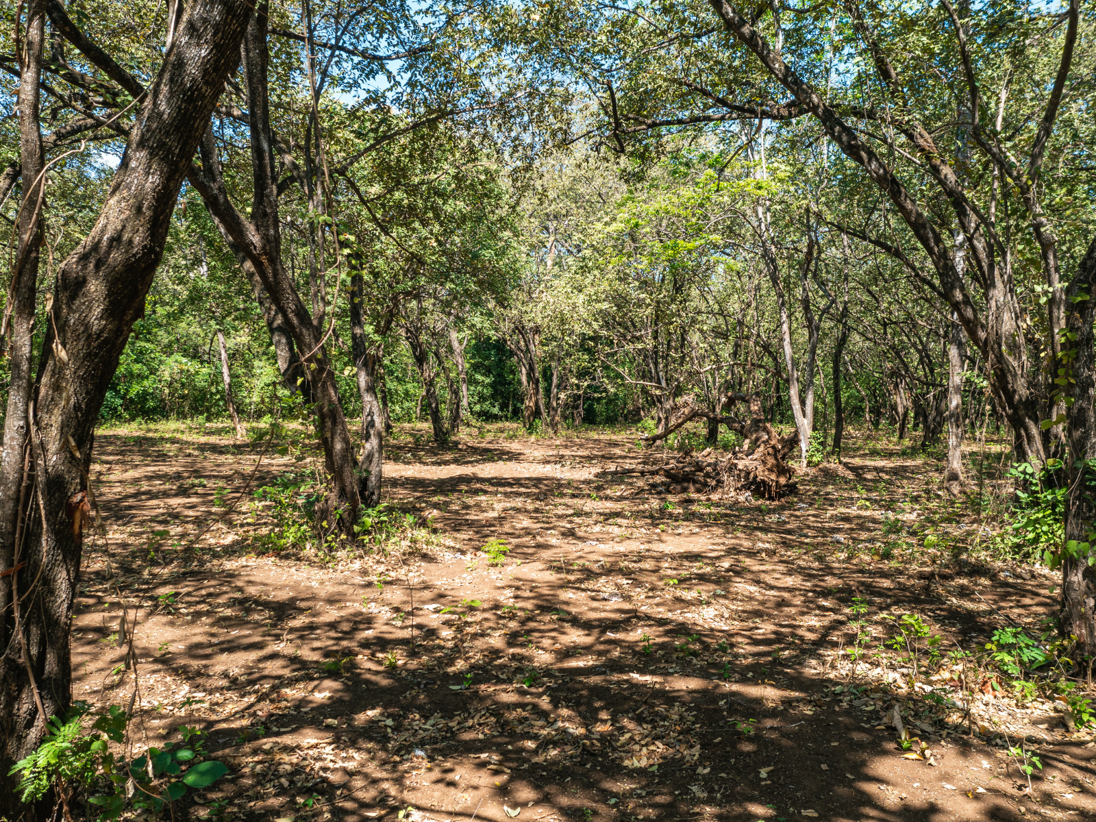 0 bed Land For Sale in Playa Negra, Guanacaste - thumb 23