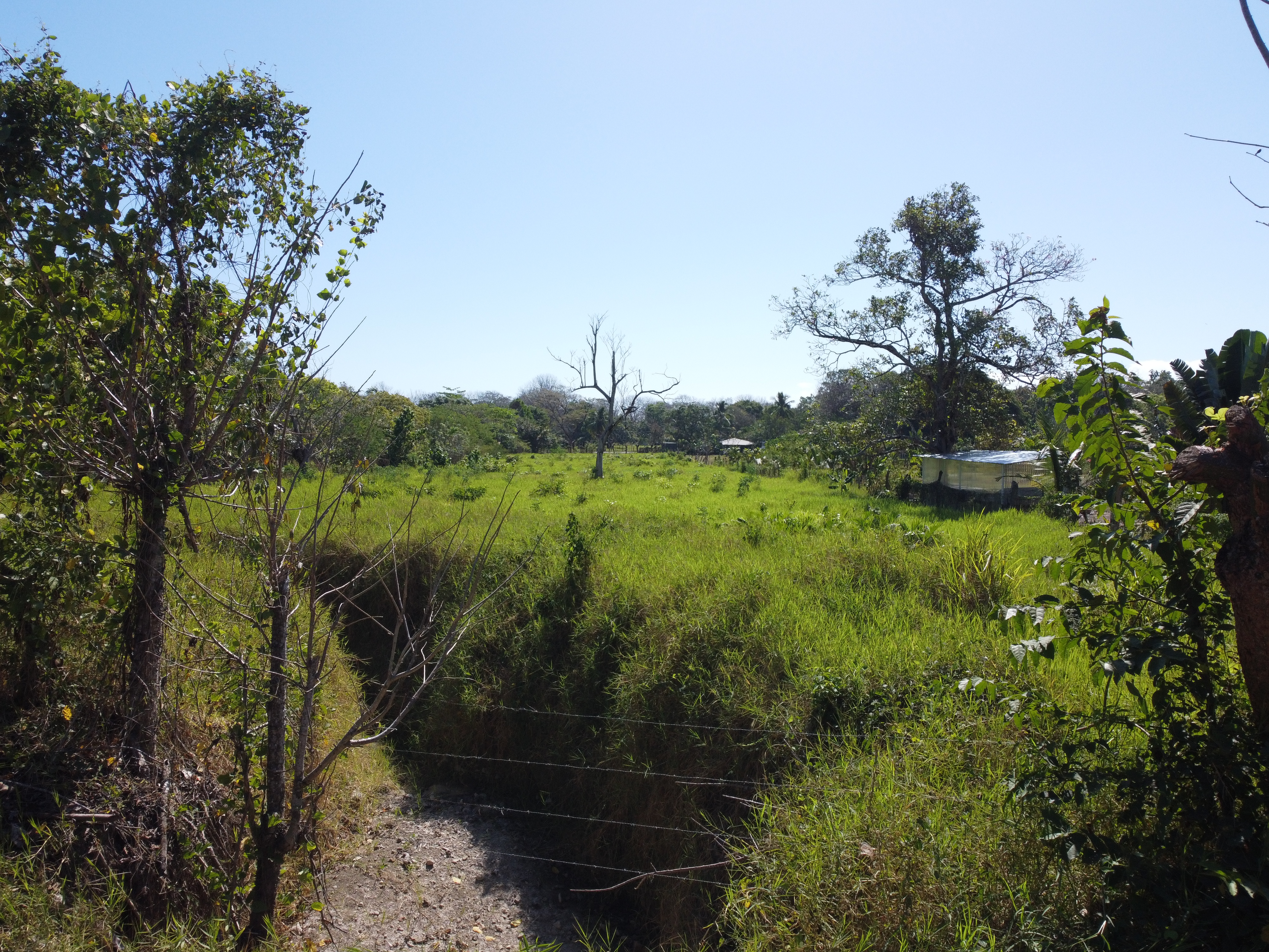 0 bed Land For Sale in Cabuya, Puntarenas - thumb 4