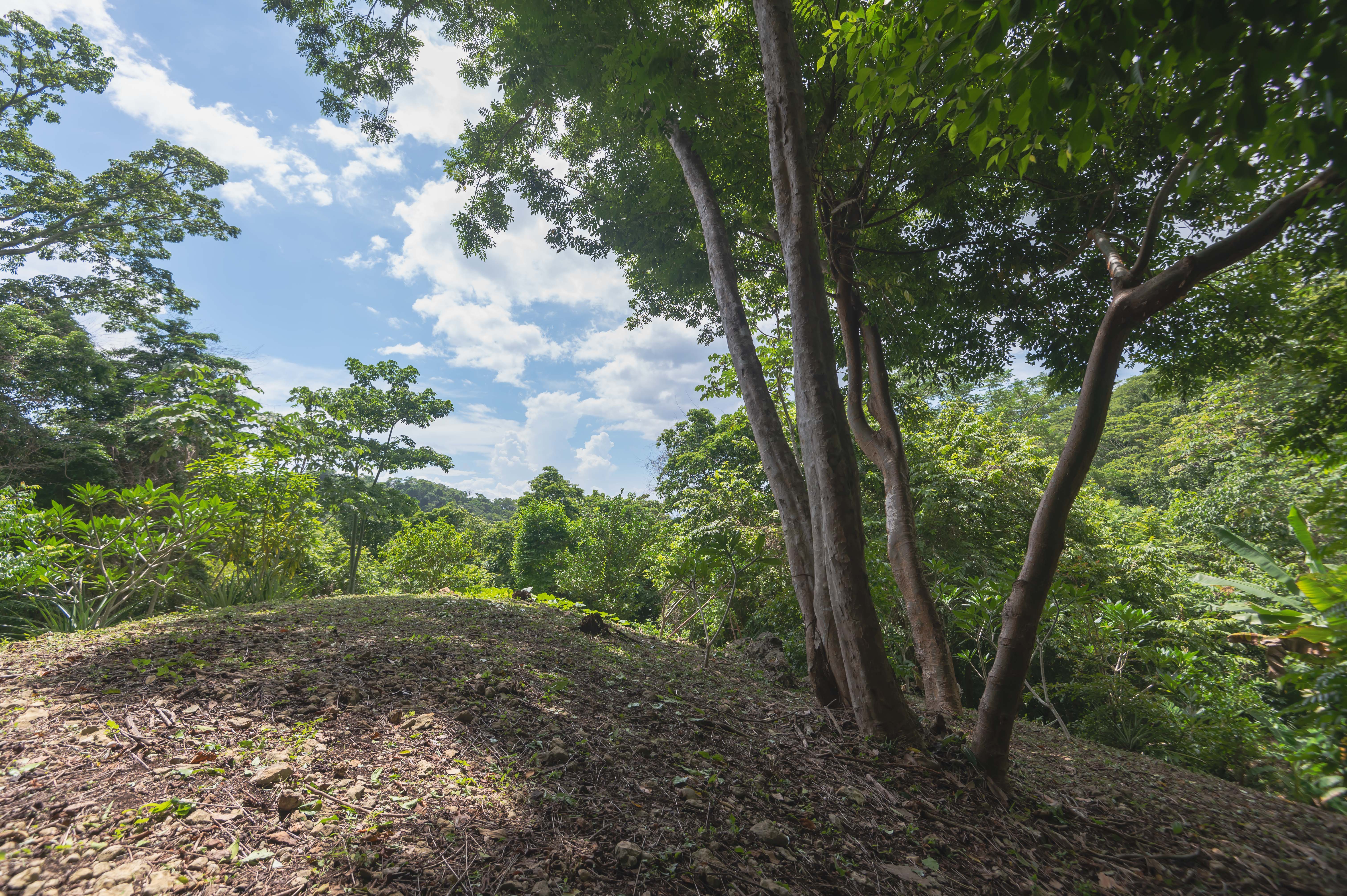 2 bed Single Family Homes For Sale in Santiago, Puntarenas - thumb 28