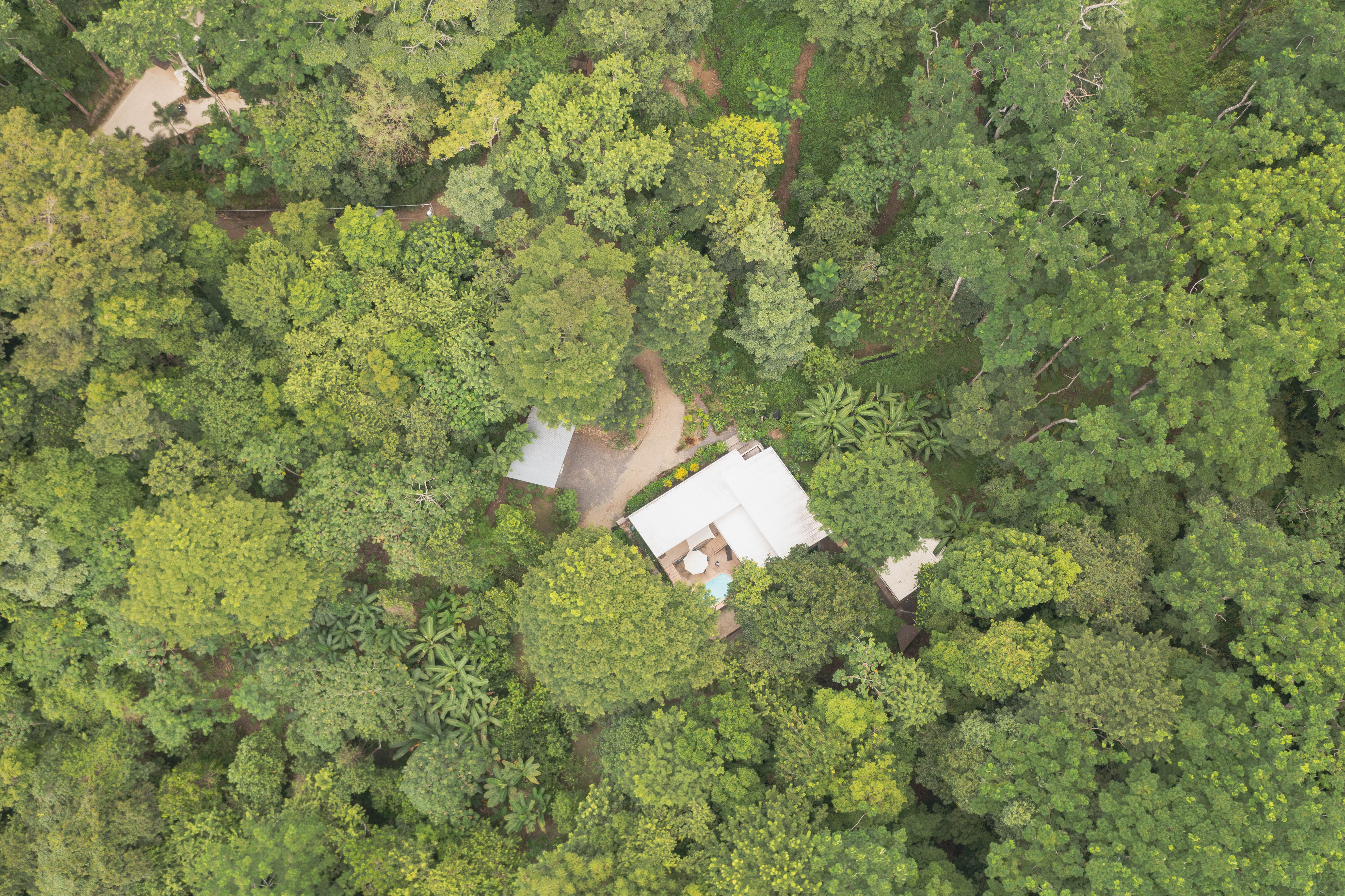 2 bed Single Family Homes For Sale in Santiago, Puntarenas - thumb 27