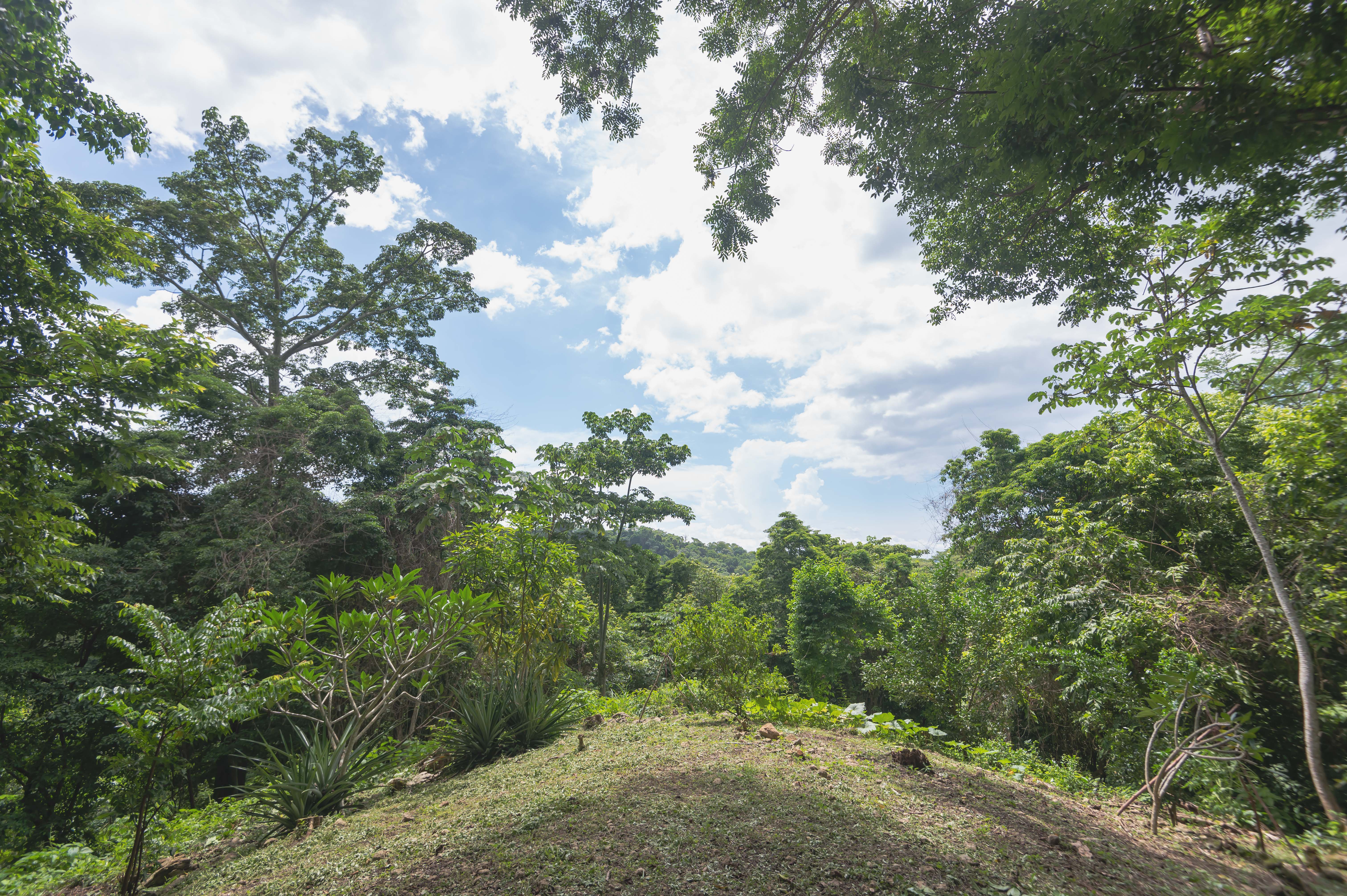 2 bed Single Family Homes For Sale in Santiago, Puntarenas - thumb 29