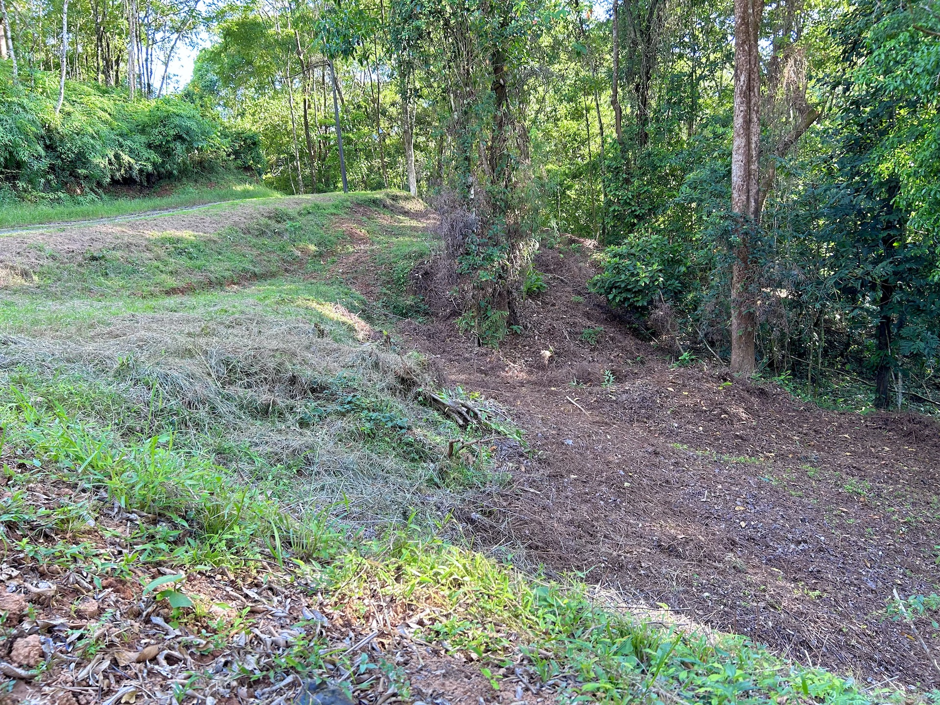 0 bed Land For Sale in Ojochal, Puntarenas - thumb 17