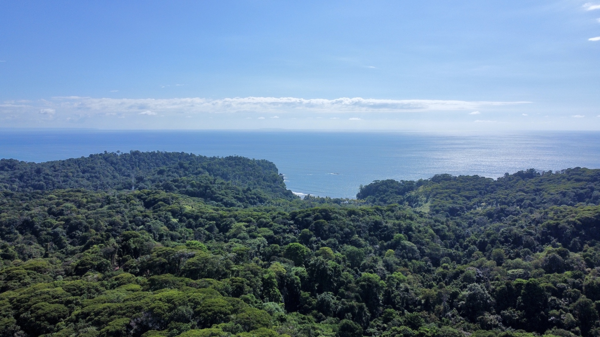 0 bed Land For Sale in Ojochal, Puntarenas - thumb 1