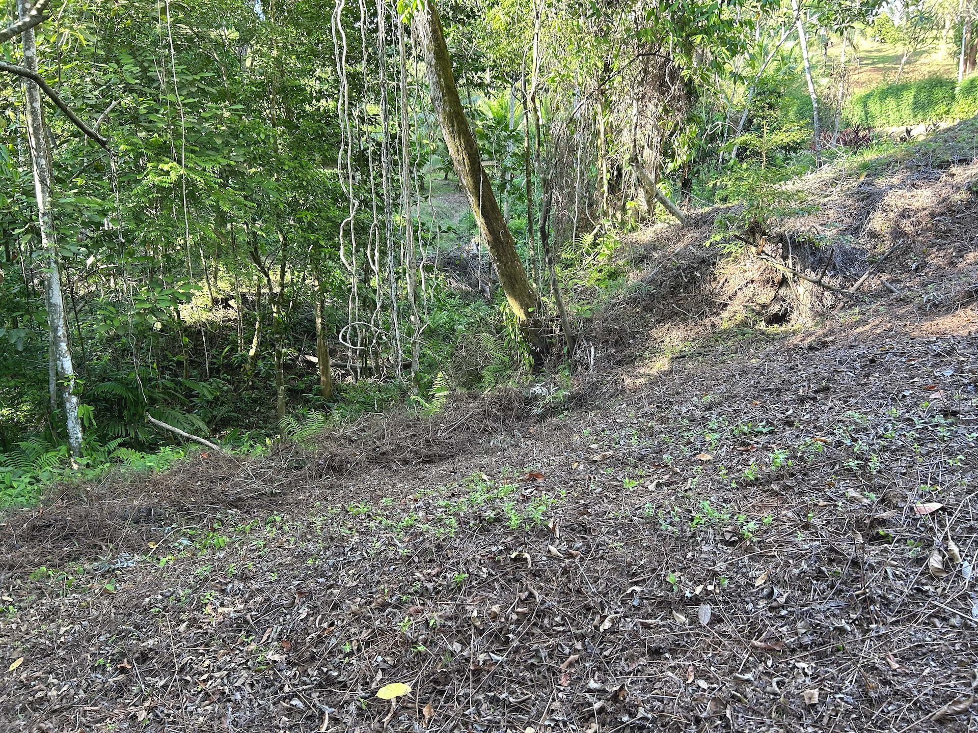 0 bed Land For Sale in Ojochal, Puntarenas - thumb 16