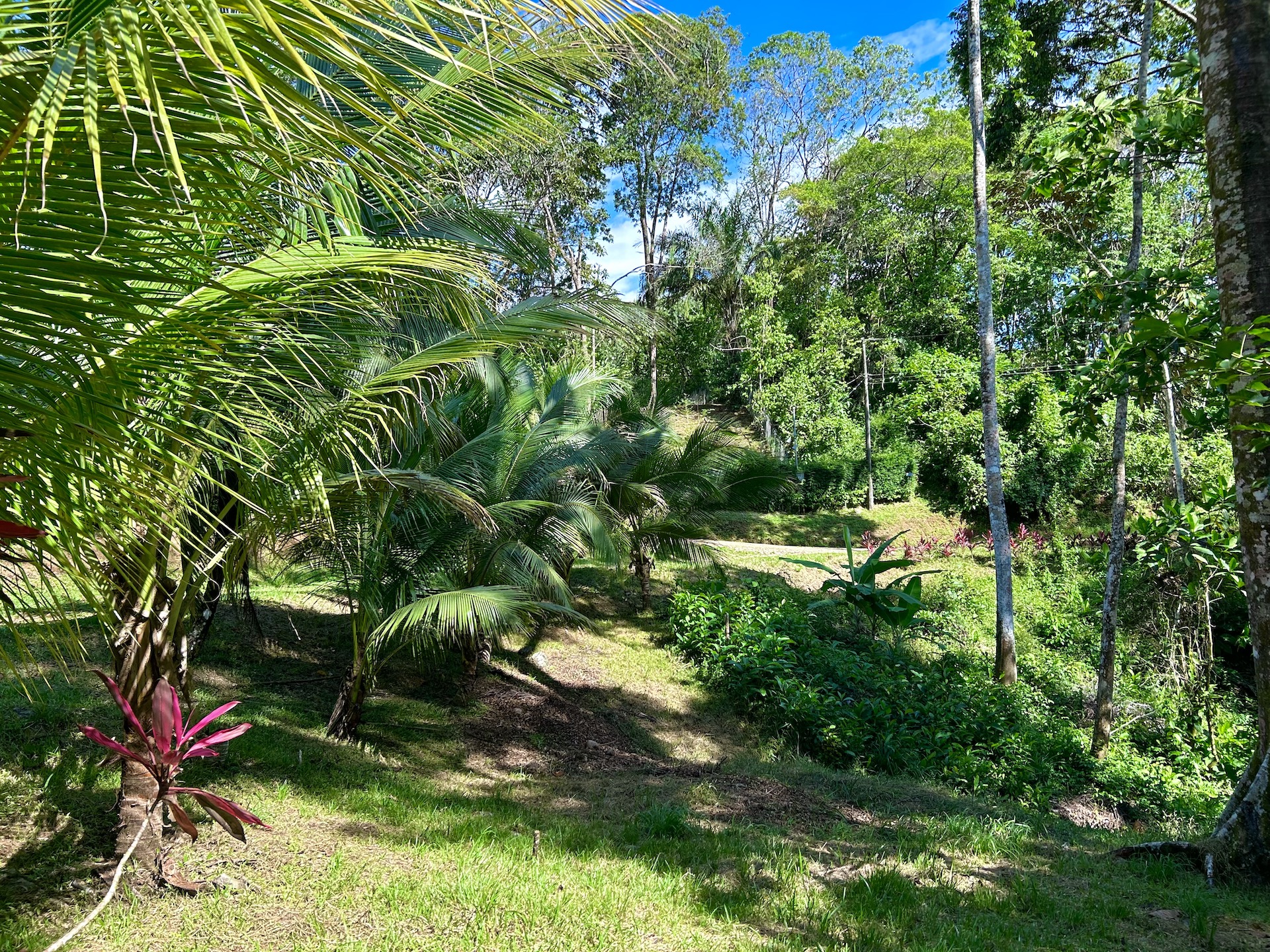 0 bed Land For Sale in Ojochal, Puntarenas - thumb 9
