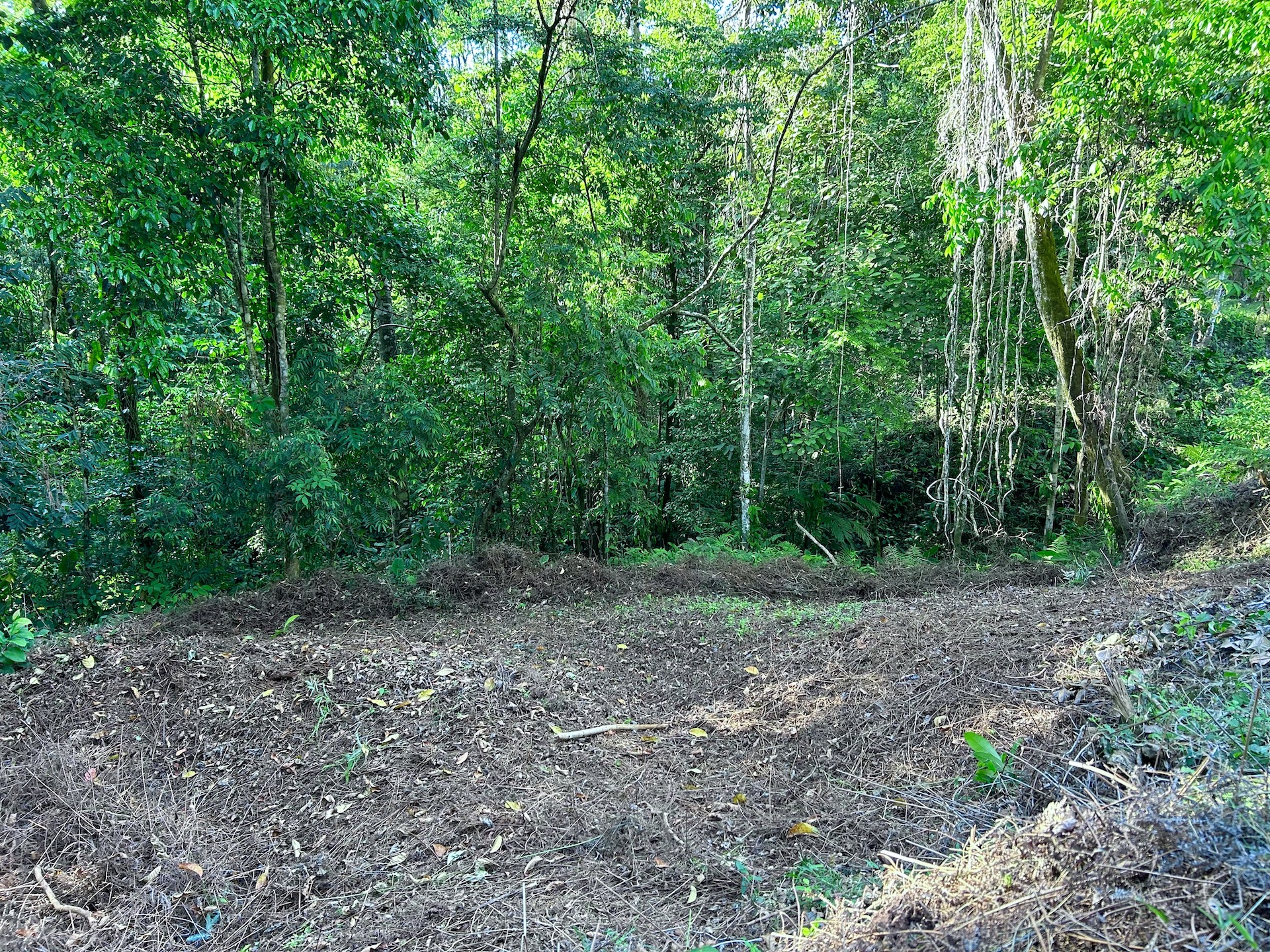 0 bed Land For Sale in Ojochal, Puntarenas - thumb 14