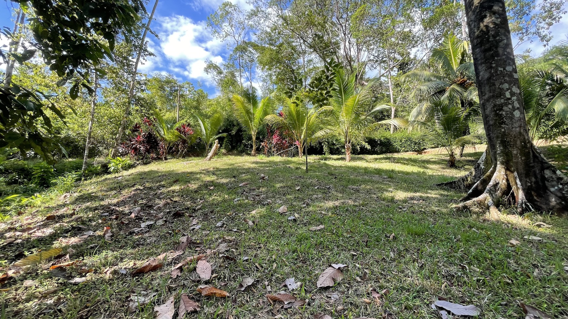 0 bed Land For Sale in Ojochal, Puntarenas - thumb 7