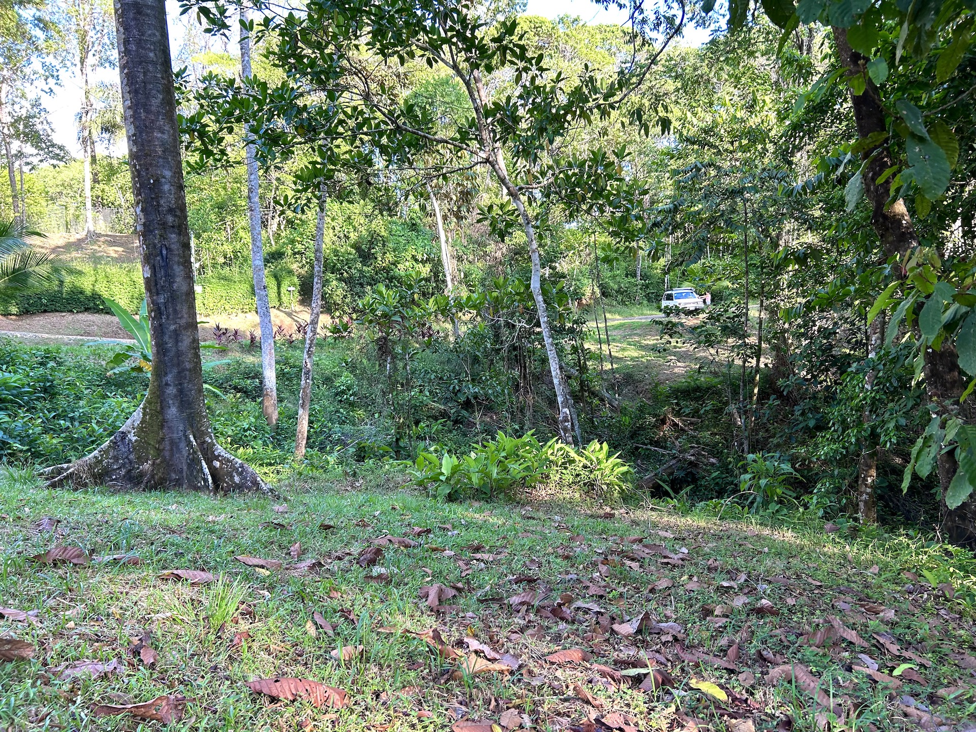 0 bed Land For Sale in Ojochal, Puntarenas - thumb 21