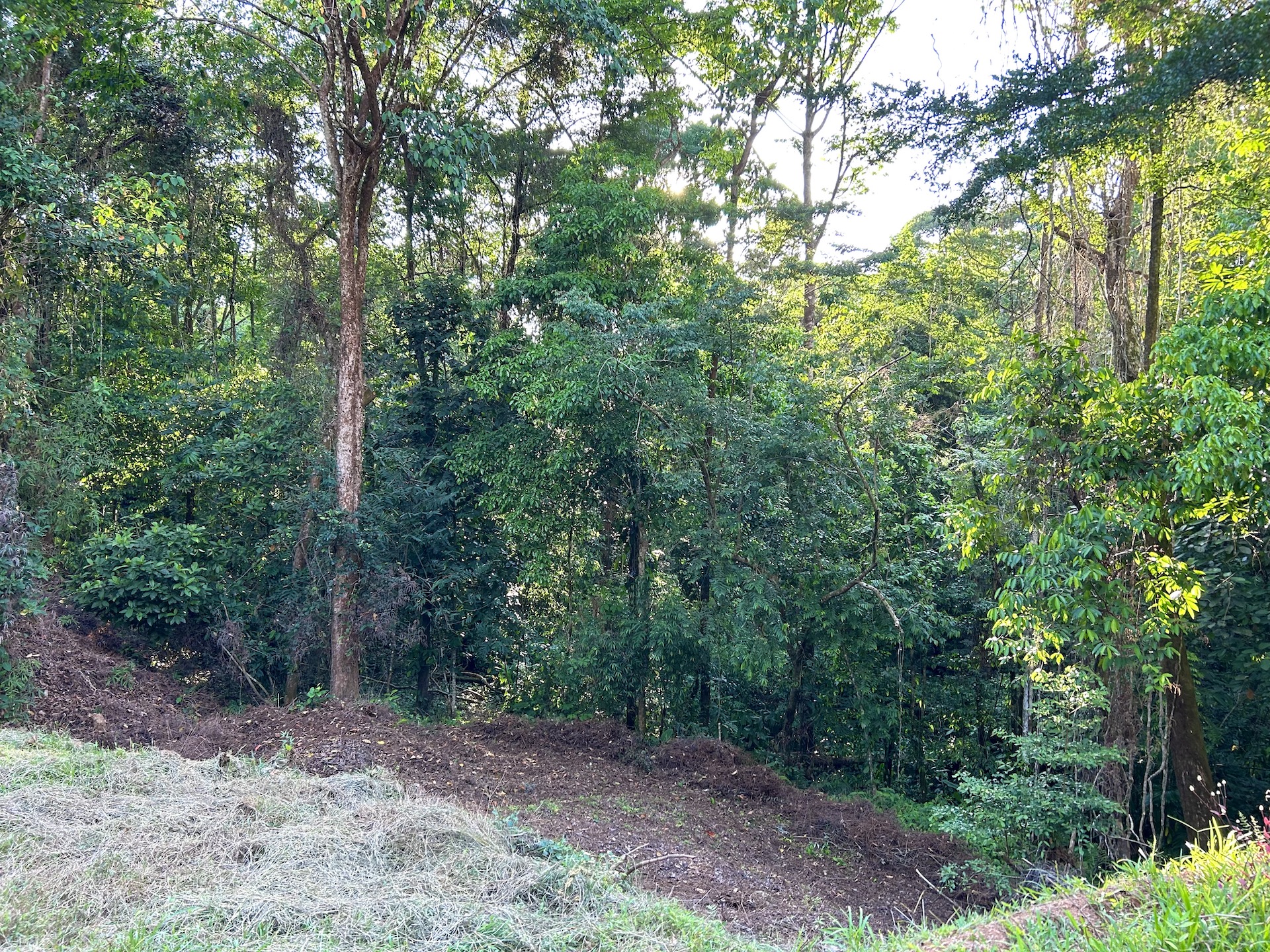 0 bed Land For Sale in Ojochal, Puntarenas - thumb 24