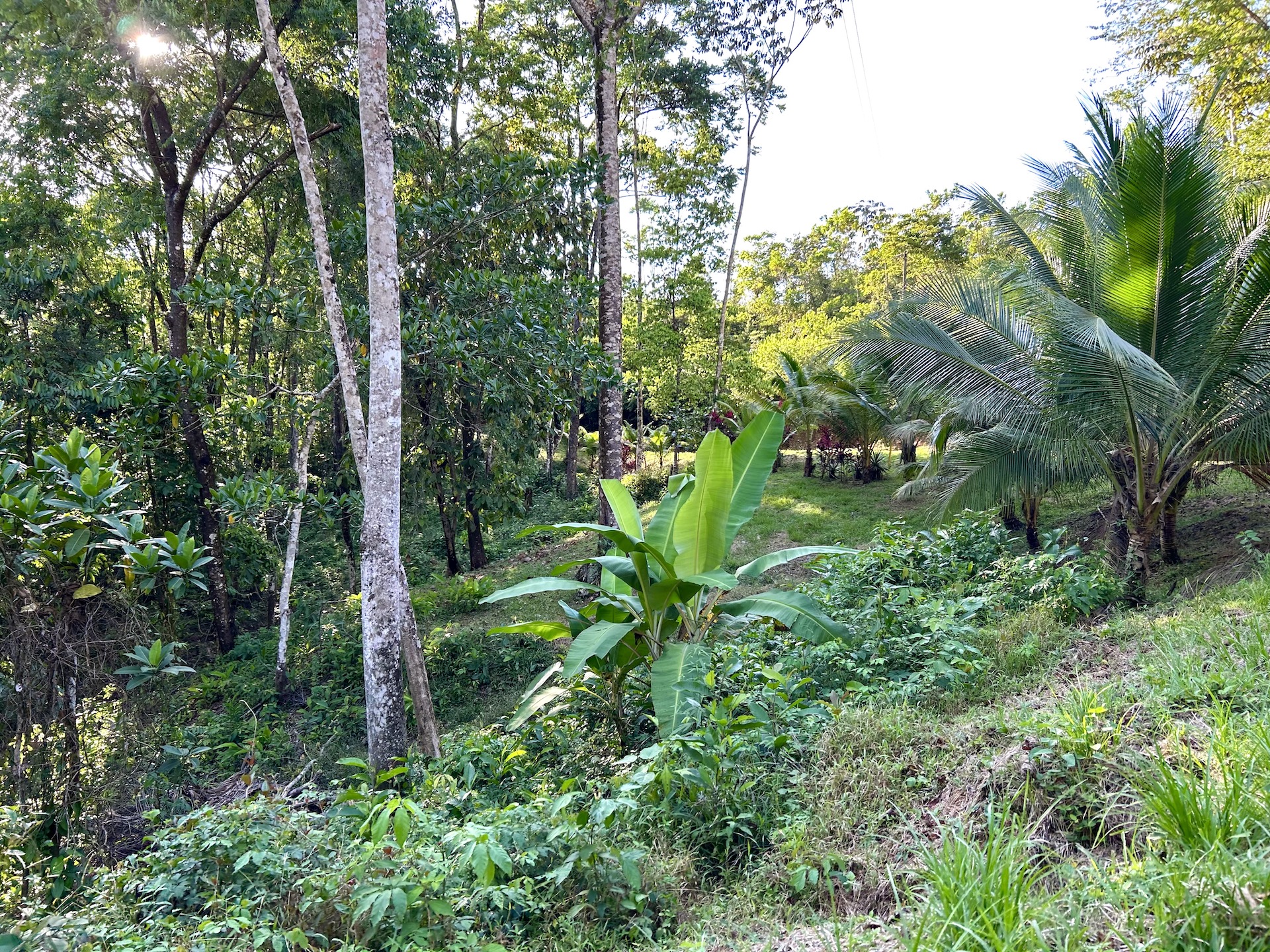 0 bed Land For Sale in Ojochal, Puntarenas - thumb 18