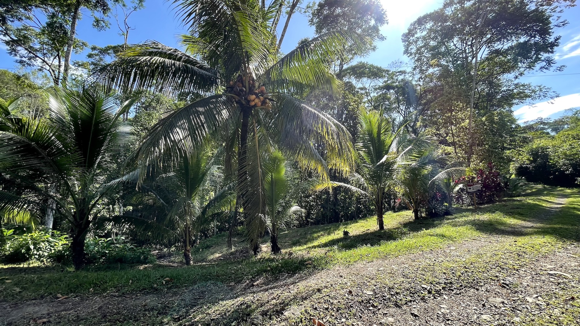 0 bed Land For Sale in Ojochal, Puntarenas - thumb 11