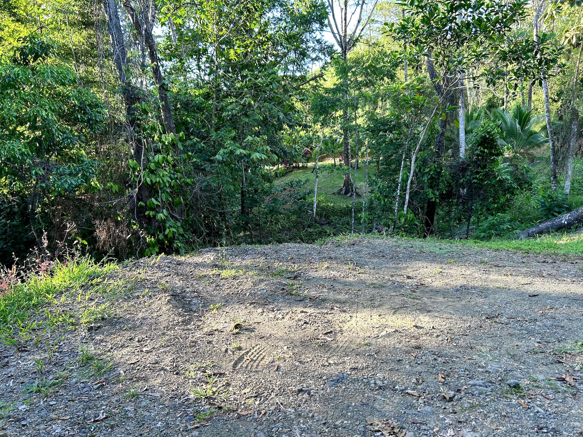 0 bed Land For Sale in Ojochal, Puntarenas - thumb 25