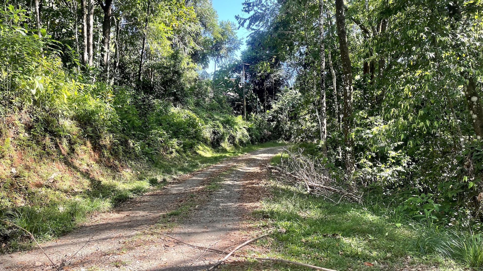 0 bed Land For Sale in Ojochal, Puntarenas - thumb 12