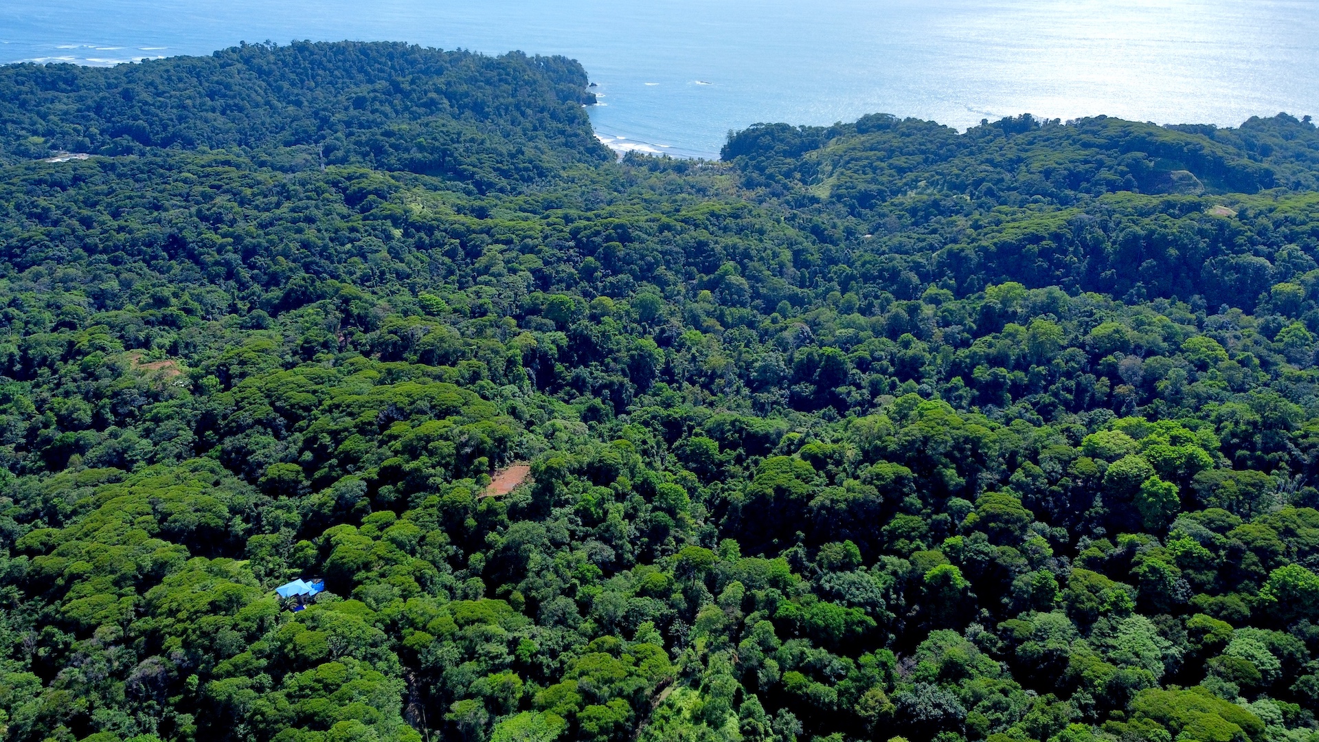 0 bed Land For Sale in Ojochal, Puntarenas - thumb 2