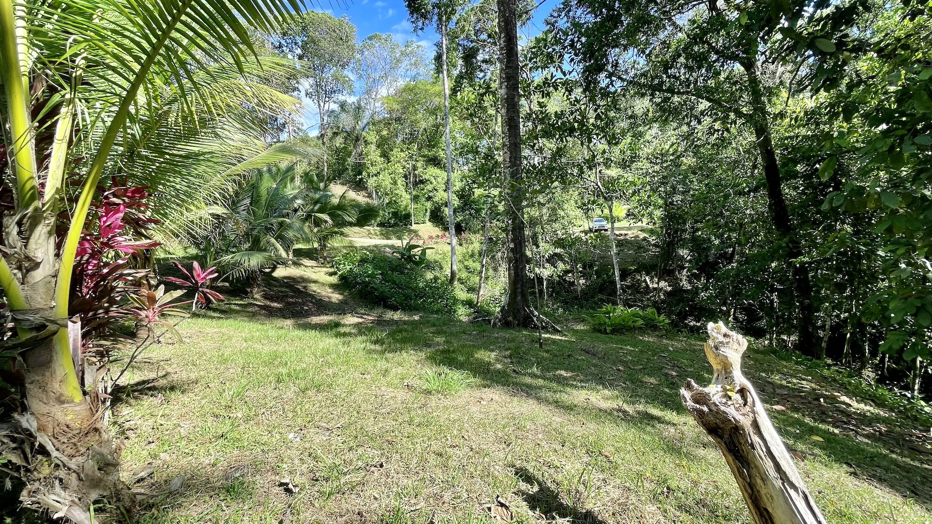 0 bed Land For Sale in Ojochal, Puntarenas - thumb 8