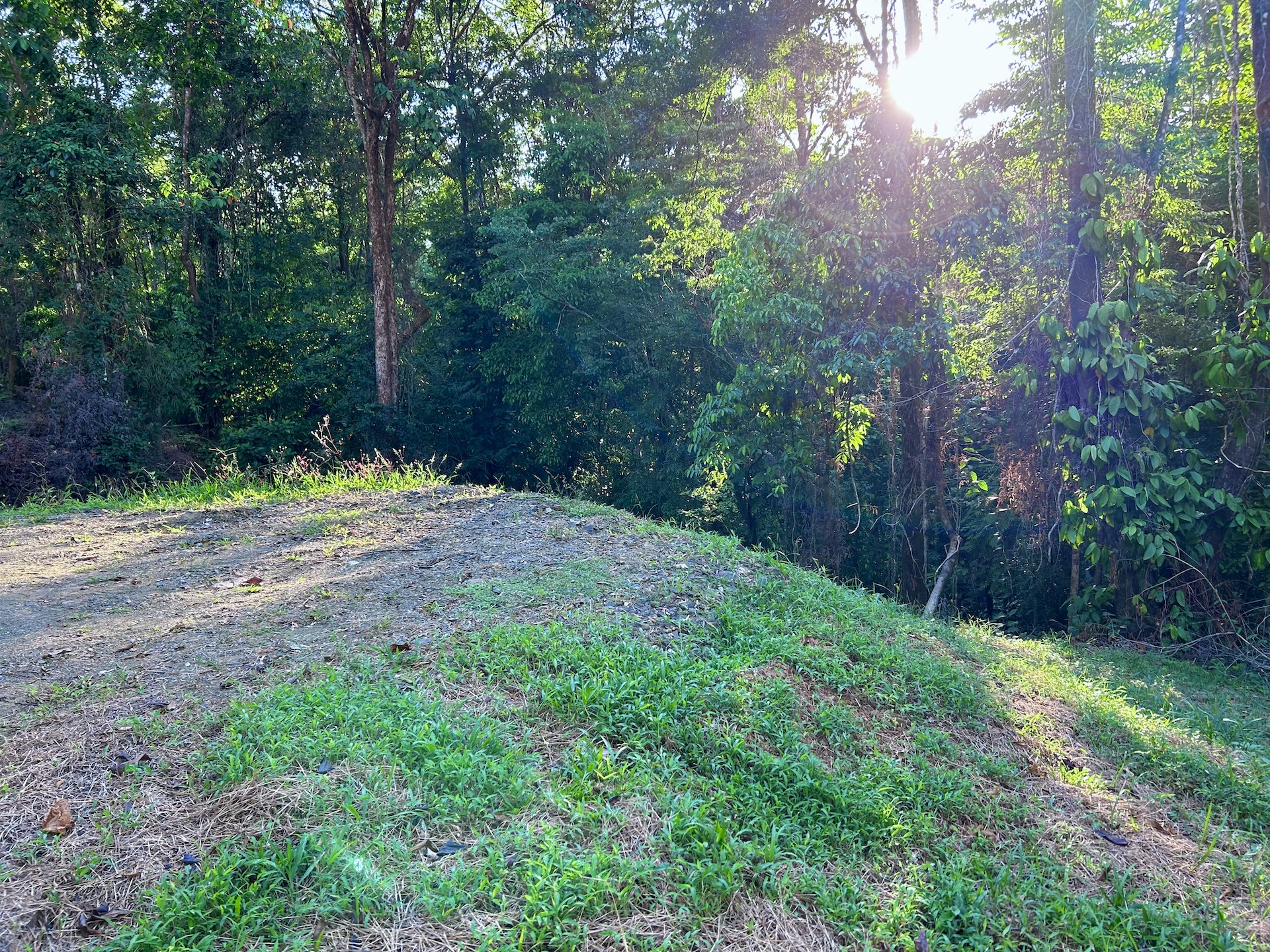 0 bed Land For Sale in Ojochal, Puntarenas - thumb 26
