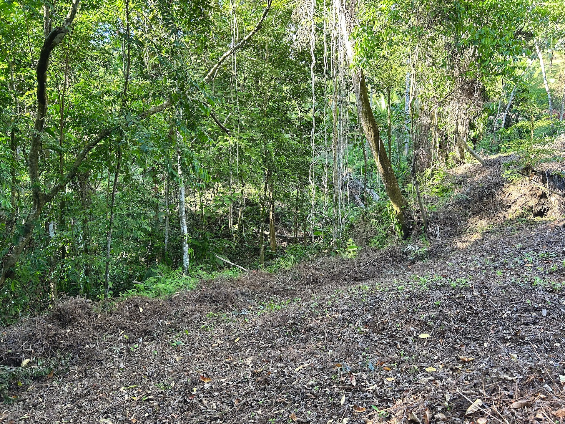 0 bed Land For Sale in Ojochal, Puntarenas - thumb 15