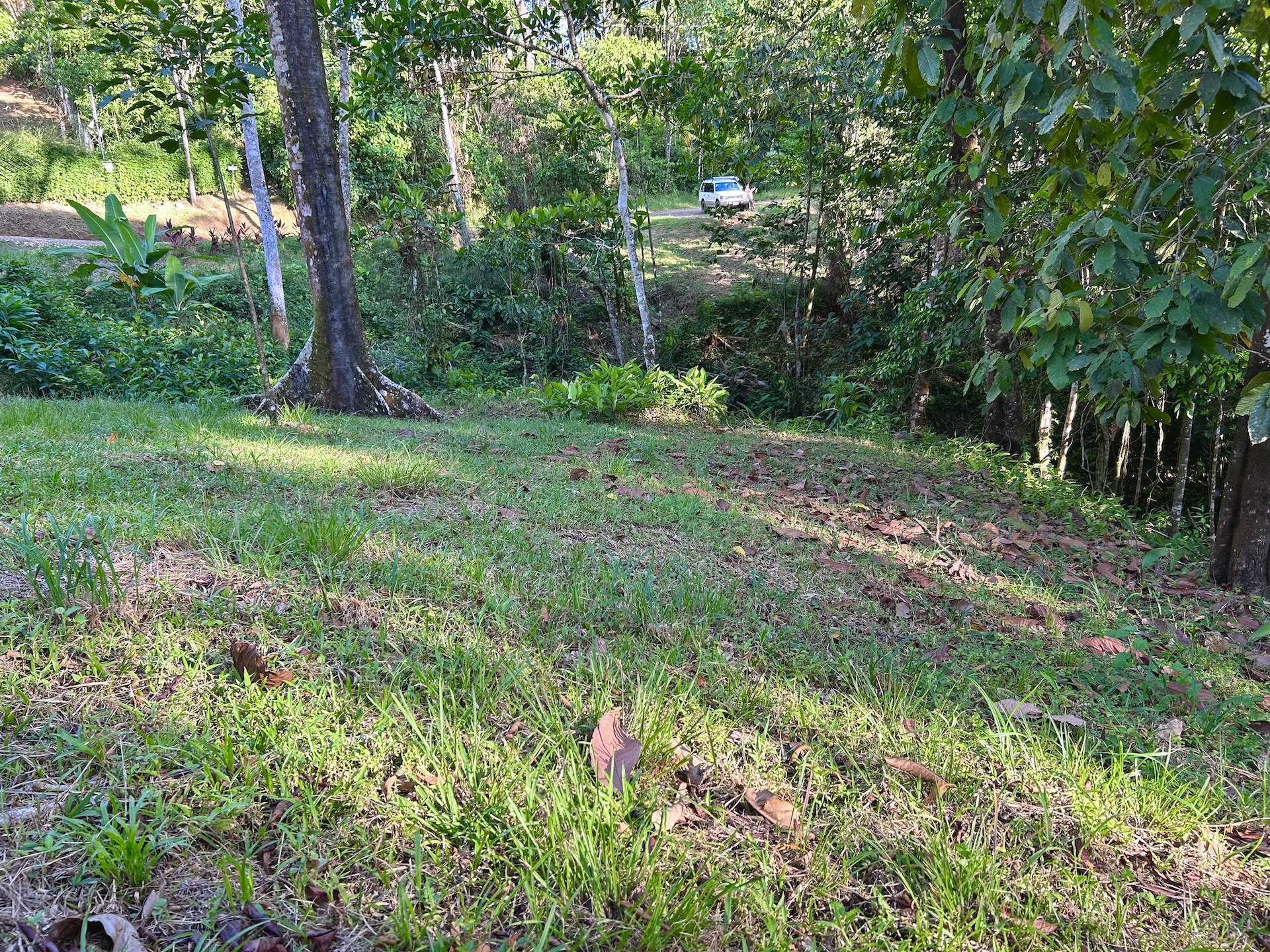 0 bed Land For Sale in Ojochal, Puntarenas - thumb 20