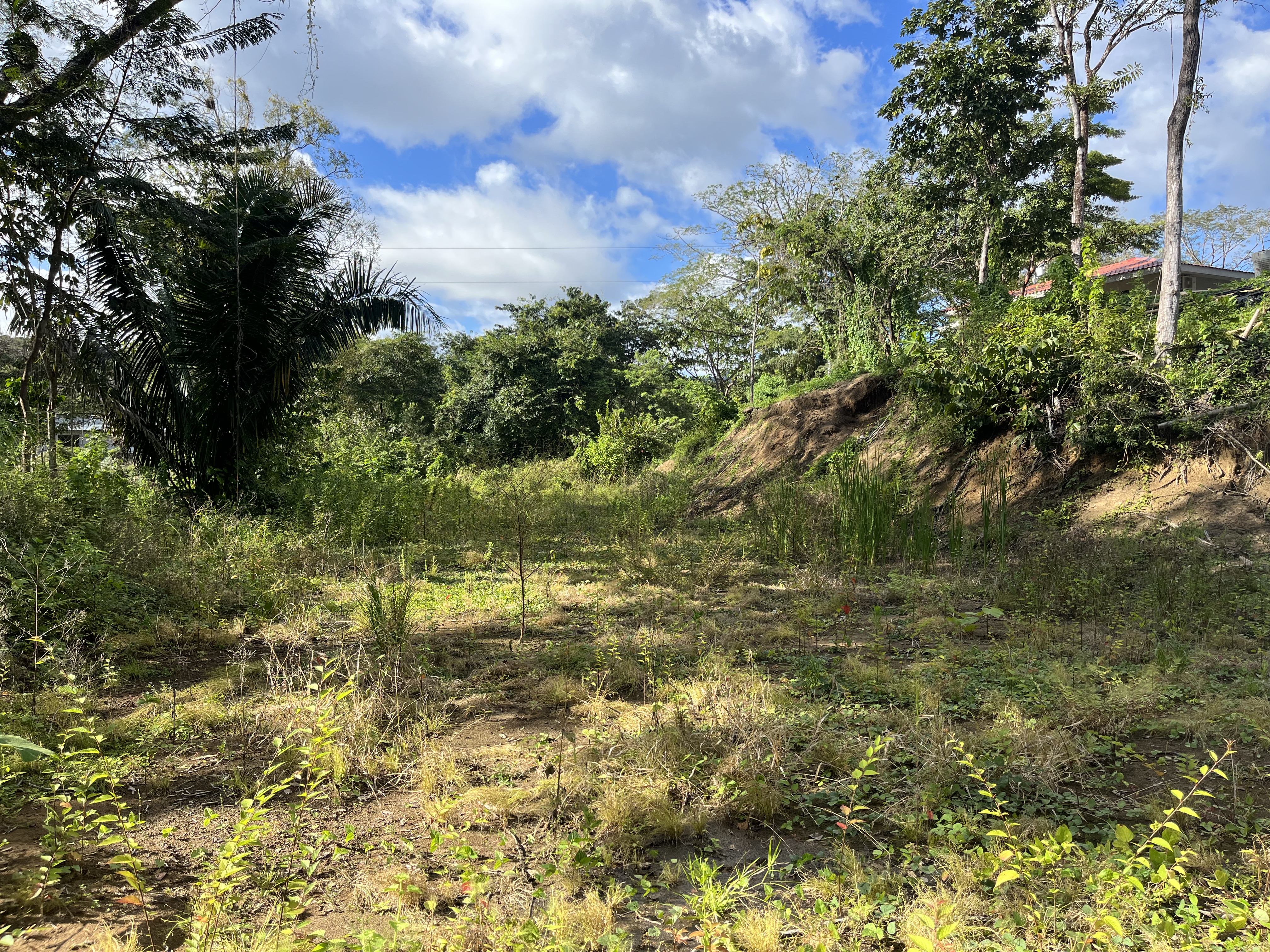 0 bed Land For Sale in Samara, Guanacaste - thumb 2