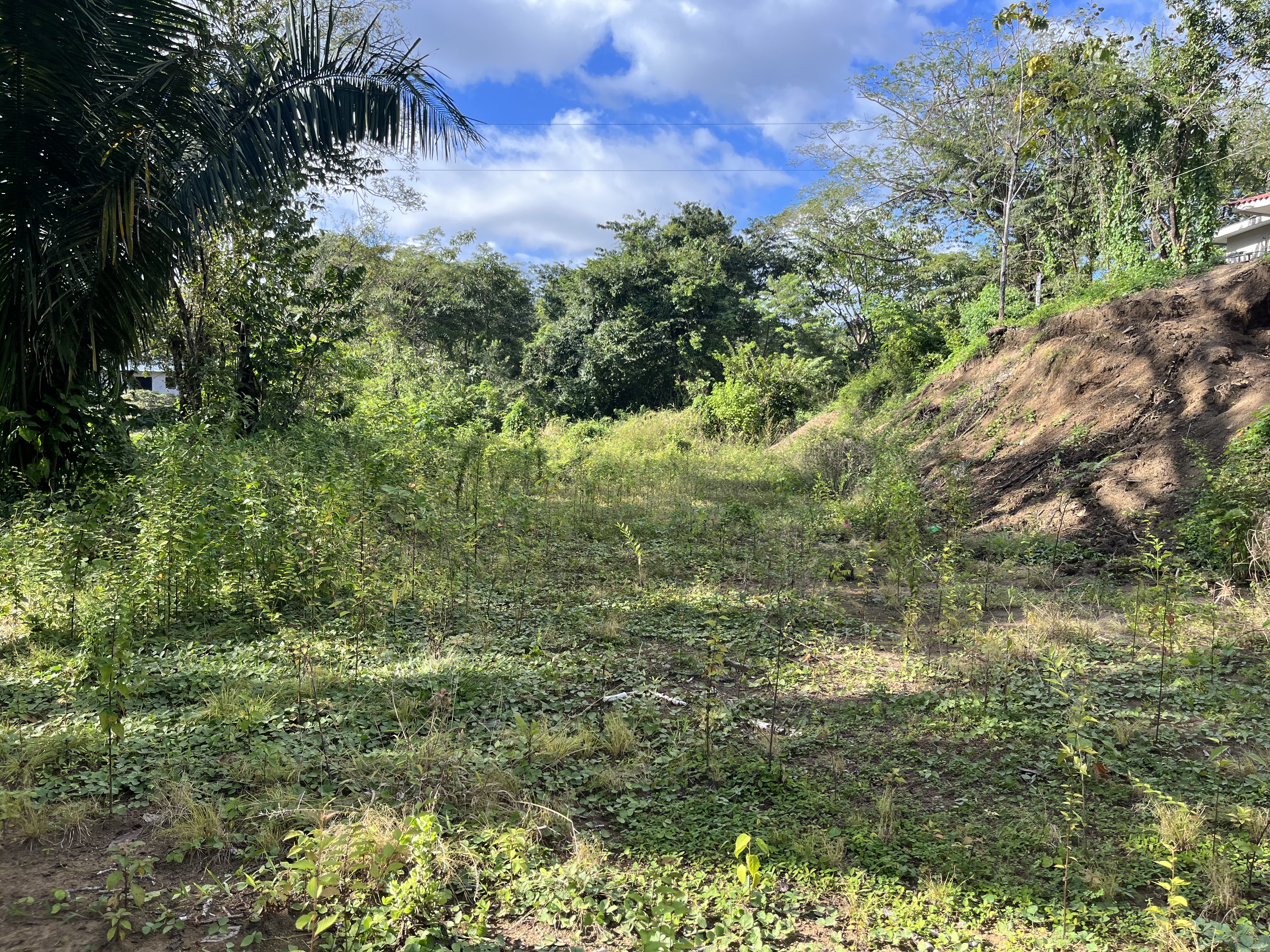 0 bed Land For Sale in Samara, Guanacaste - thumb 4