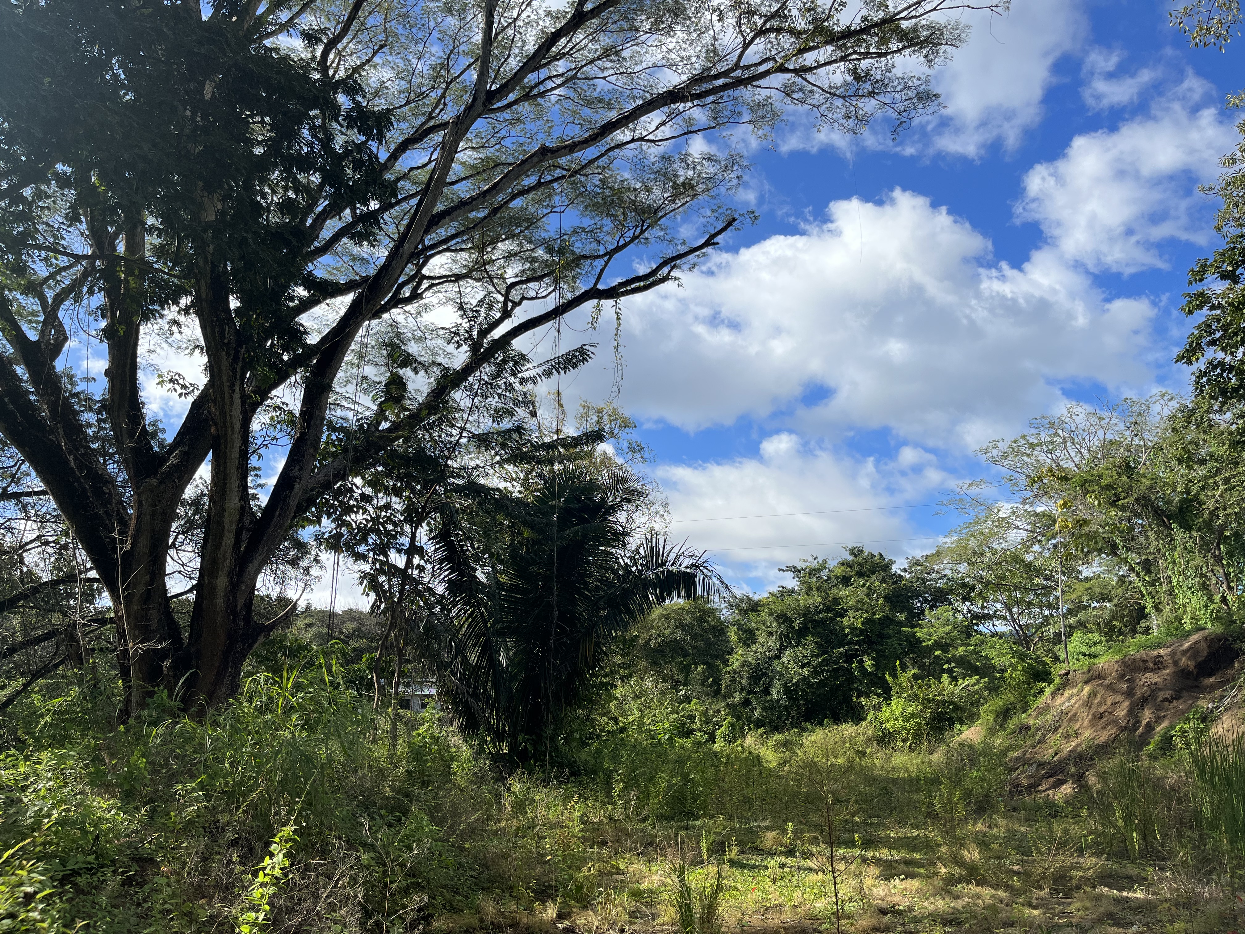 0 bed Land For Sale in Samara, Guanacaste - thumb 1