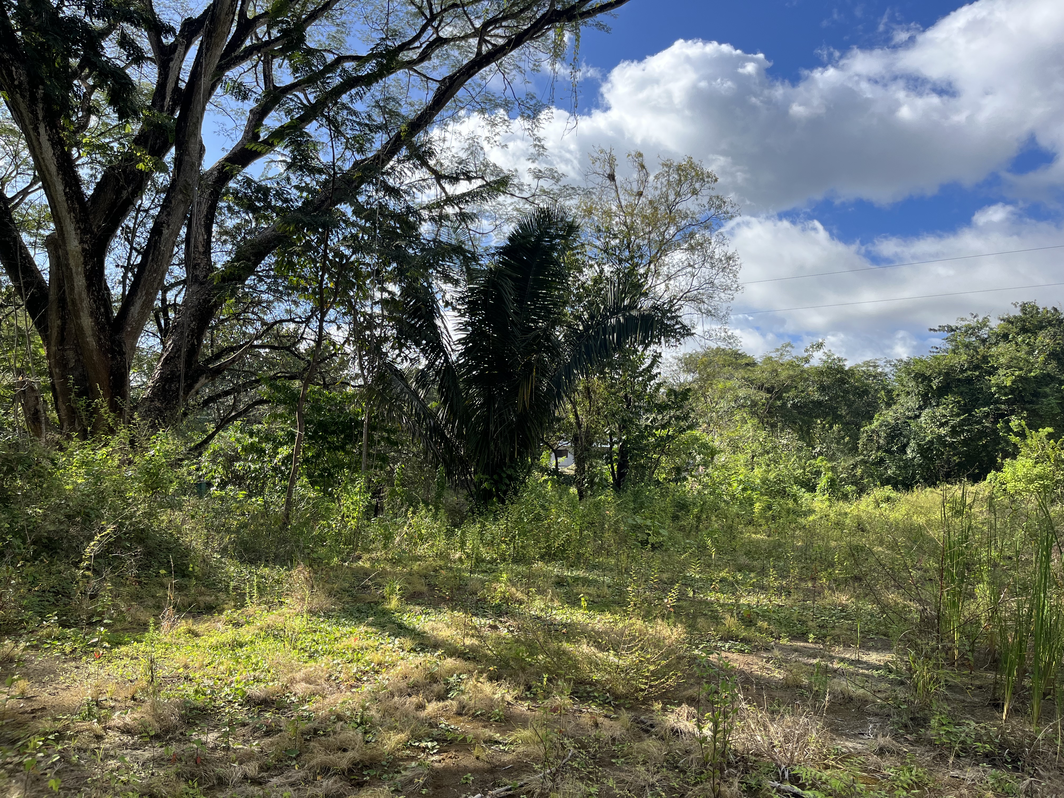 0 bed Land For Sale in Samara, Guanacaste - thumb 3