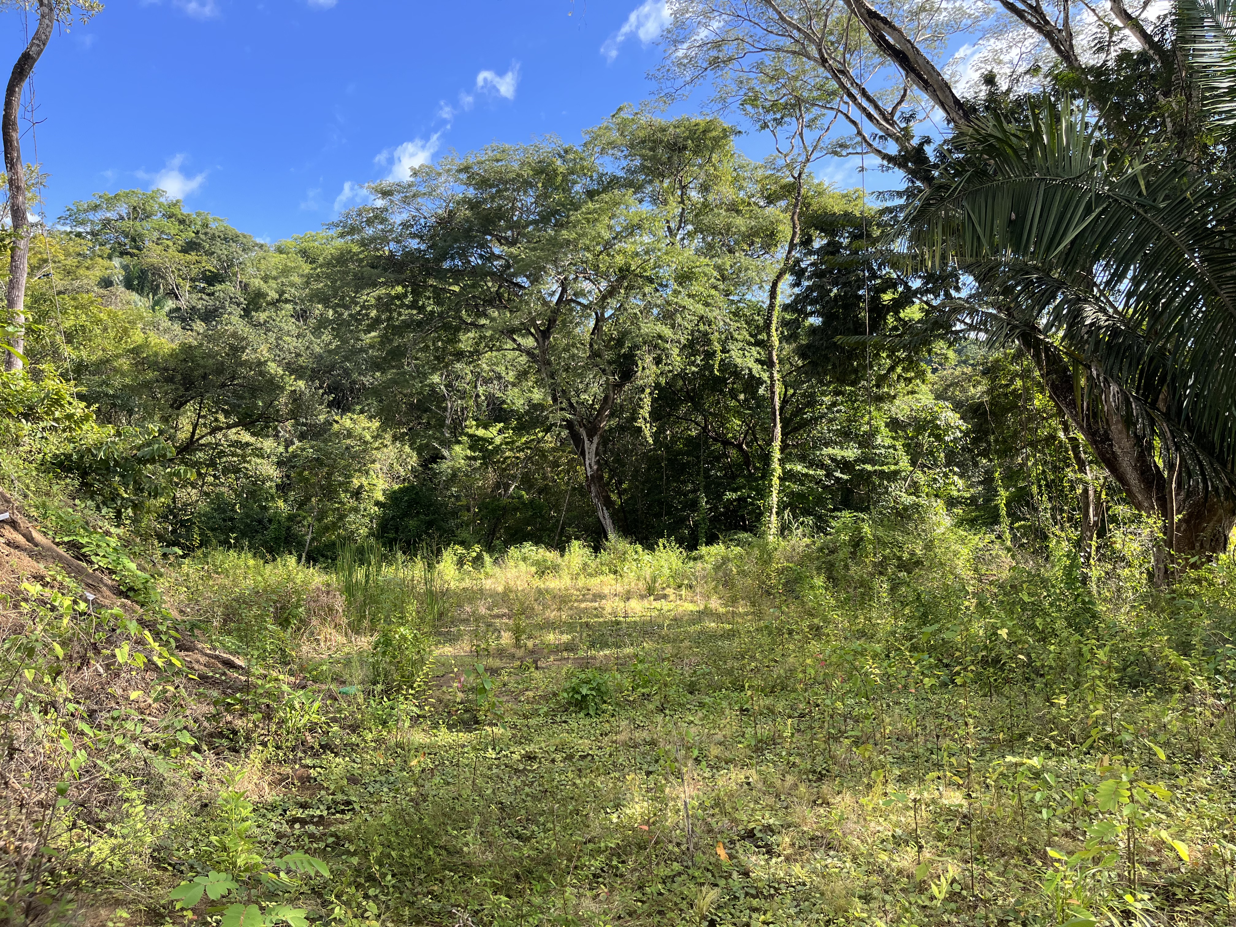 0 bed Land For Sale in Samara, Guanacaste - thumb 5
