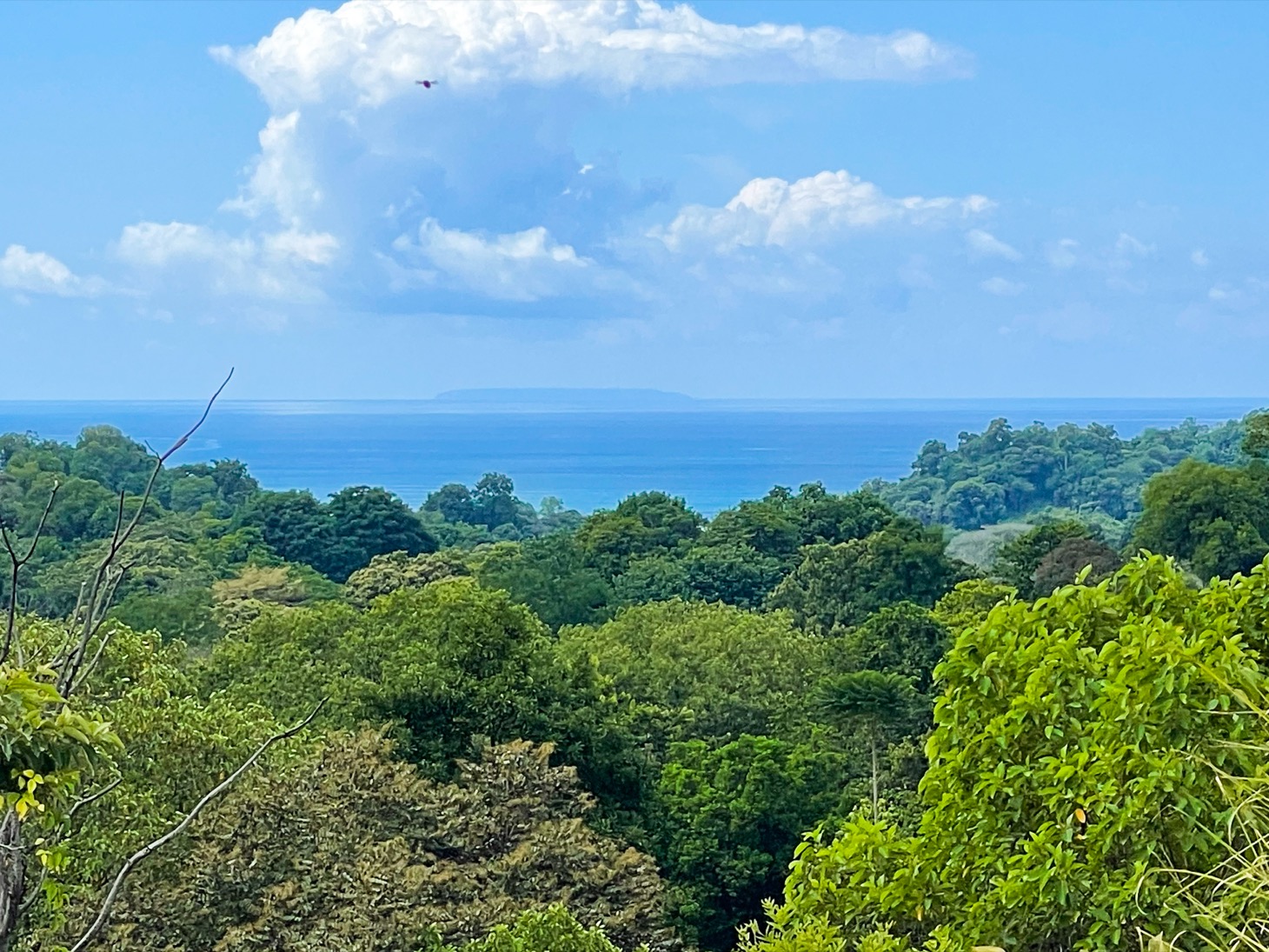 7 bed Single Family Homes For Sale in Ojochal, Puntarenas - thumb 16