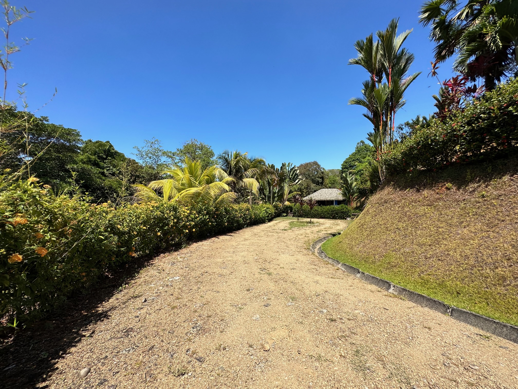 1 bed Single Family Homes For Sale in Ojochal, Puntarenas - thumb 26