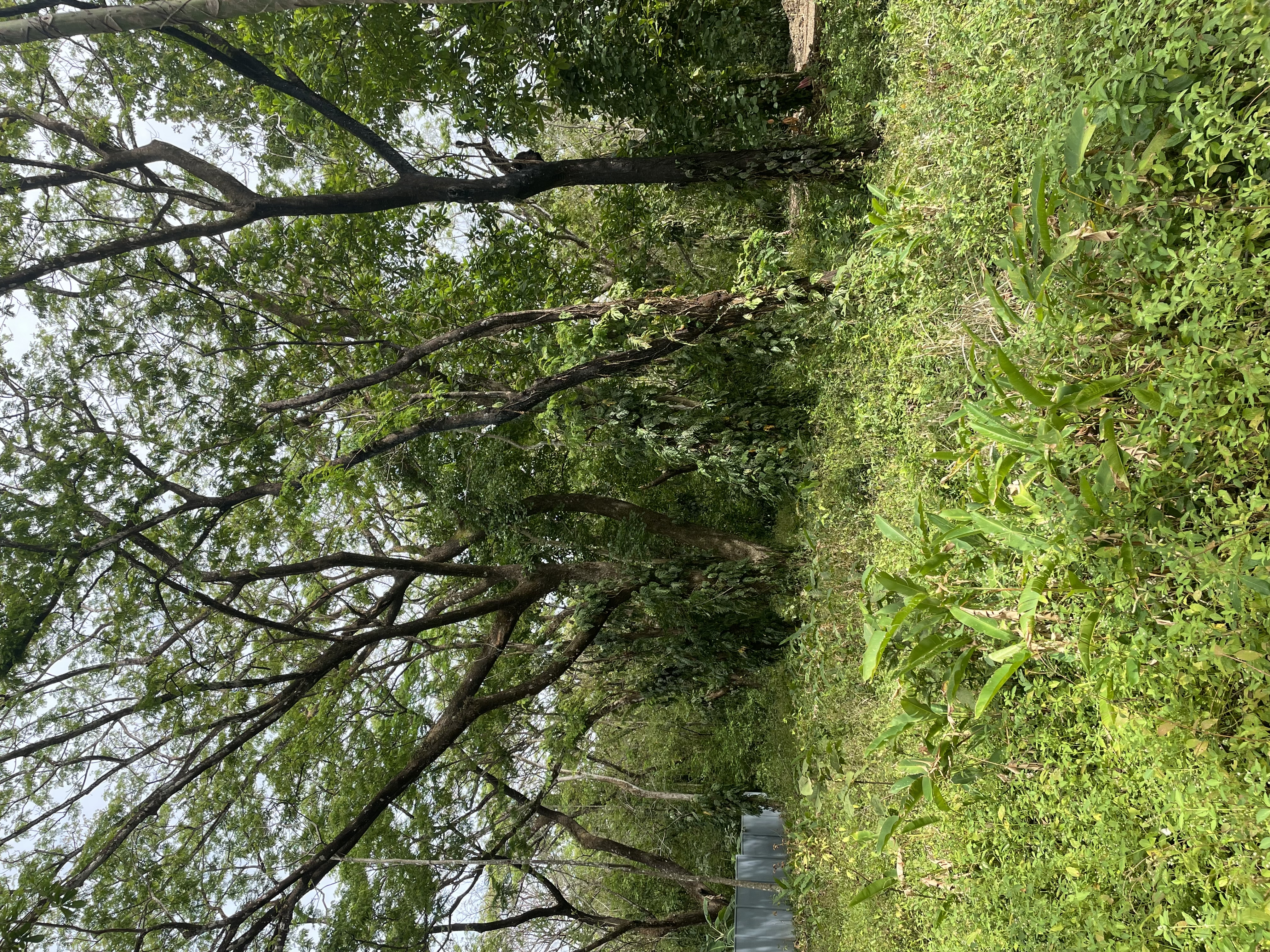 0 bed Land For Sale in Nosara, Guanacaste - thumb 9