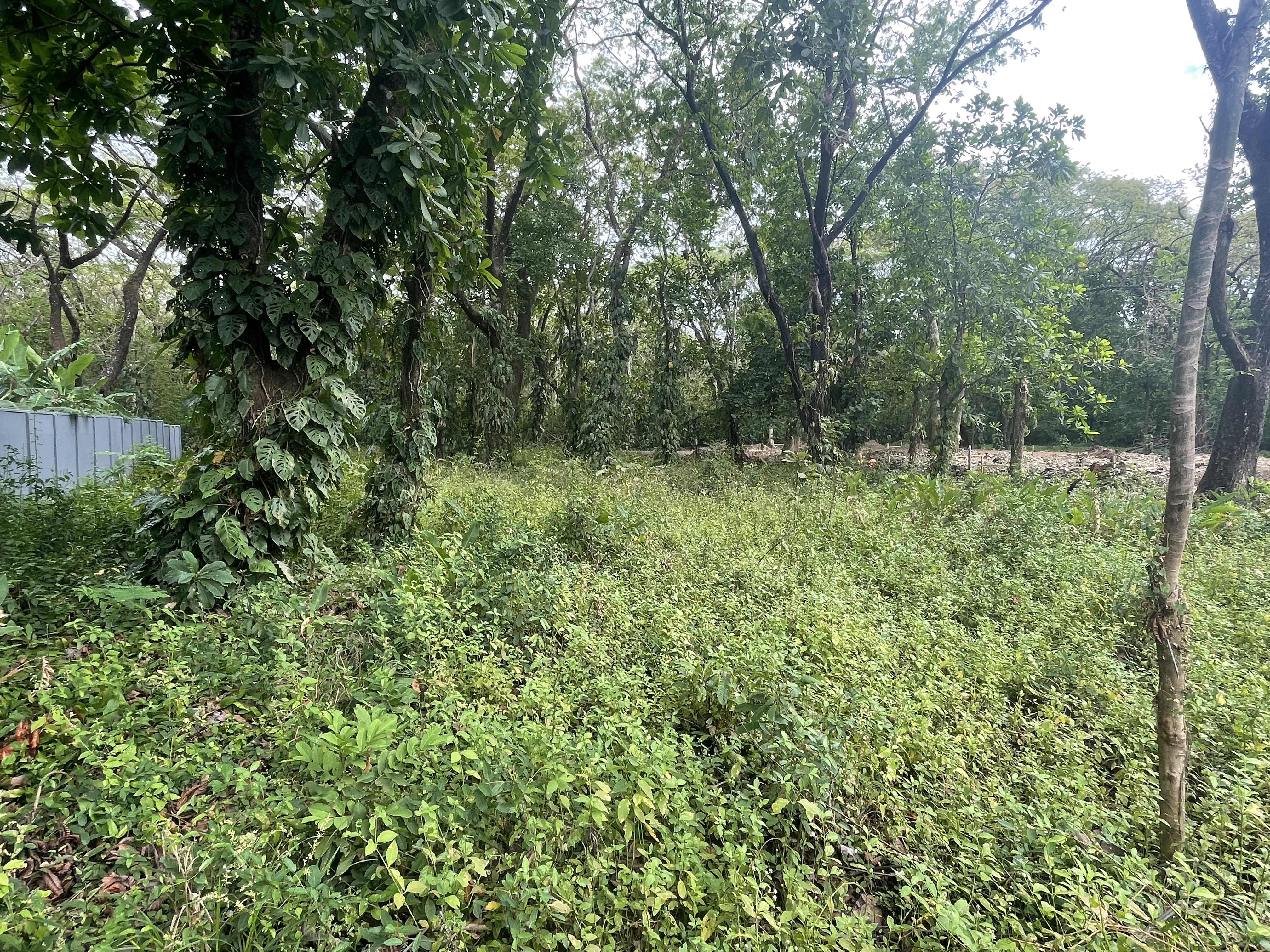 0 bed Land For Sale in Nosara, Guanacaste - thumb 5