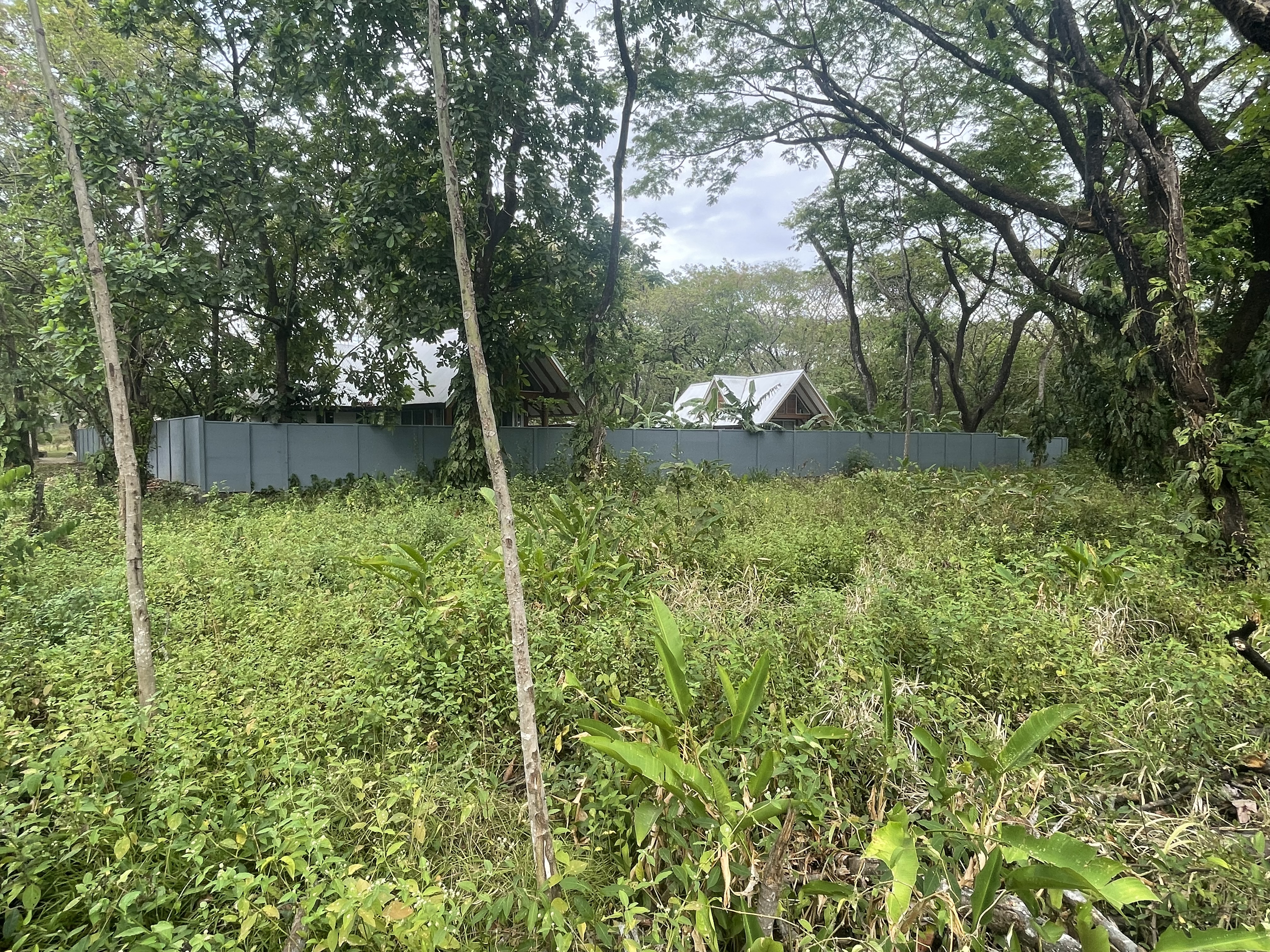 0 bed Land For Sale in Nosara, Guanacaste - thumb 7