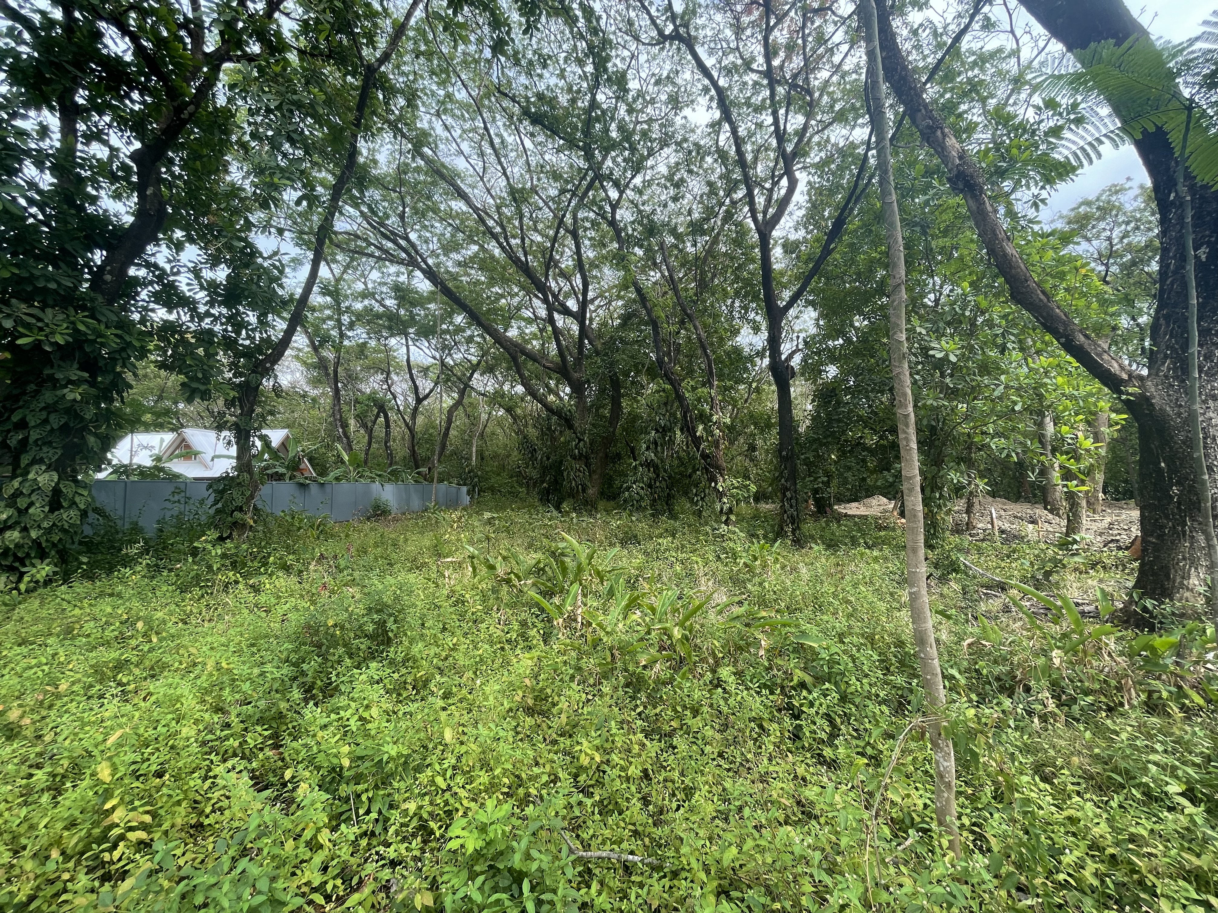 0 bed Land For Sale in Nosara, Guanacaste - thumb 3