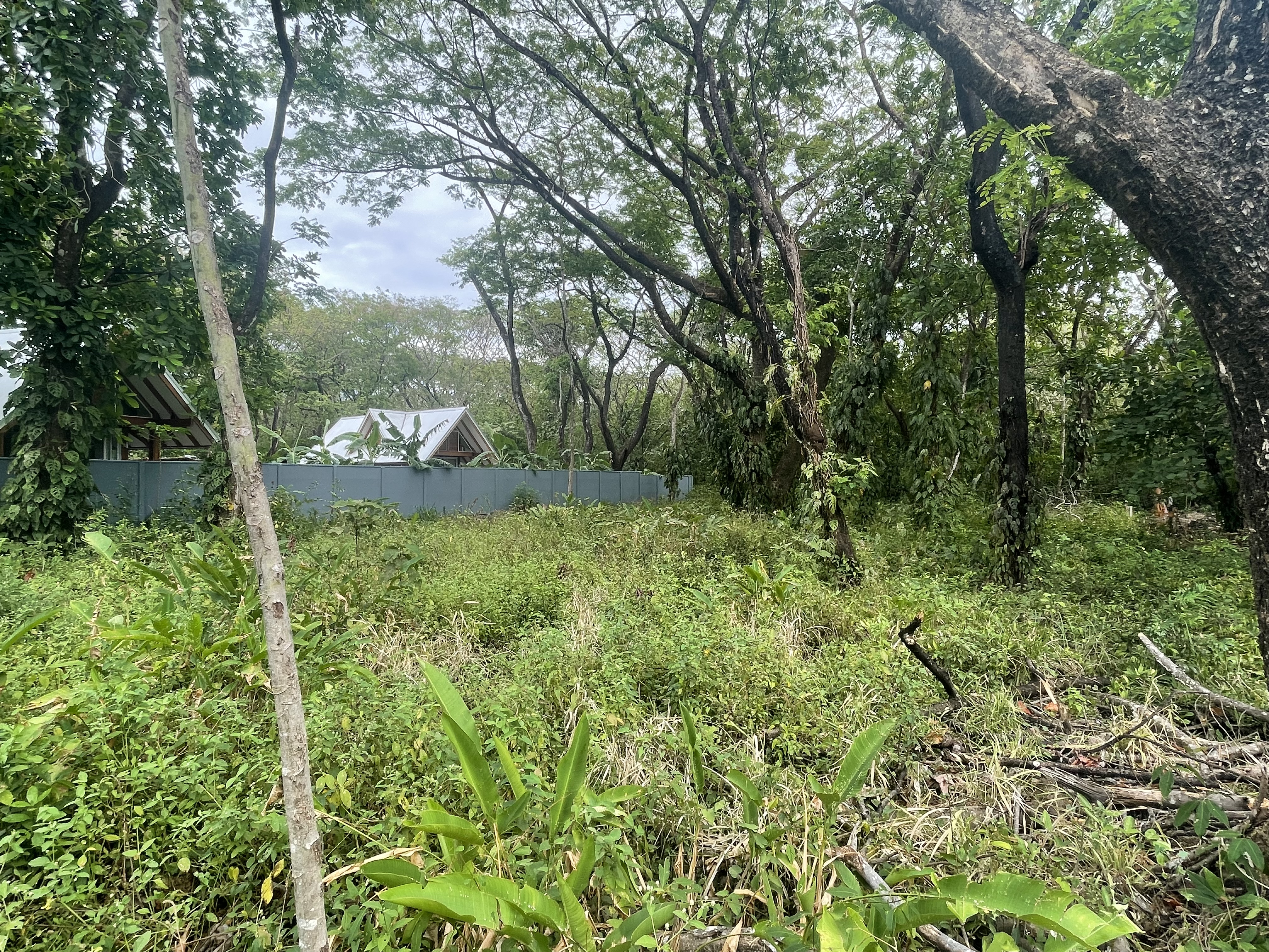 0 bed Land For Sale in Nosara, Guanacaste - thumb 8